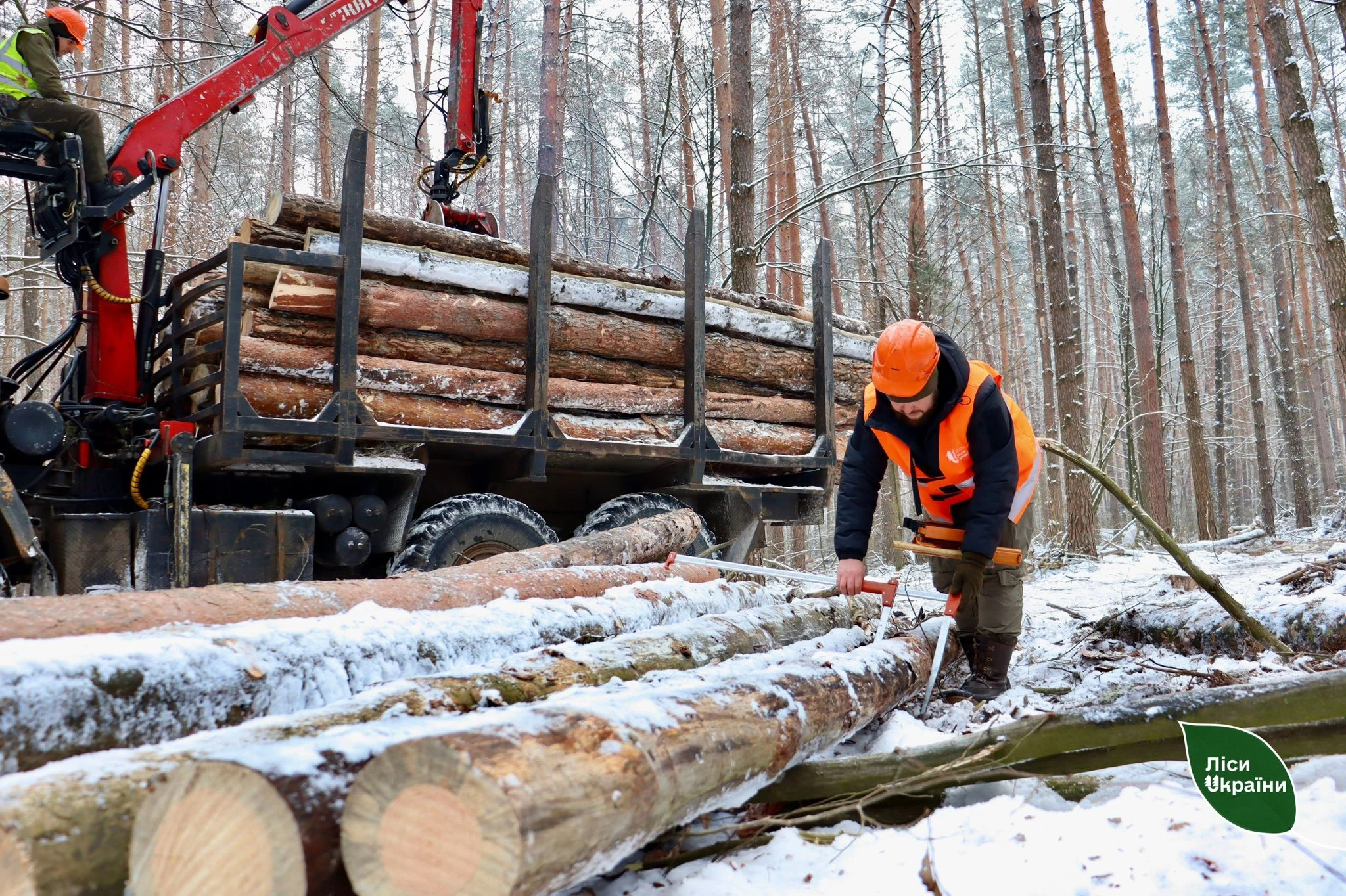 Надлісництва Черкаської області заготували 3,6 тис. кубічних метрів дров з початку року