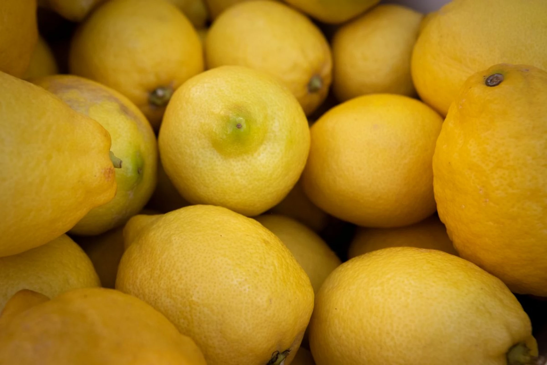 Продуктові ярмарки в Києві сьогодні – 20 січня 2026