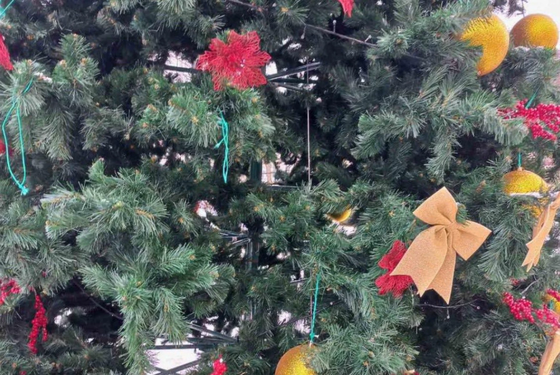 У Черкасах із головної ялинки зірвали прикраси