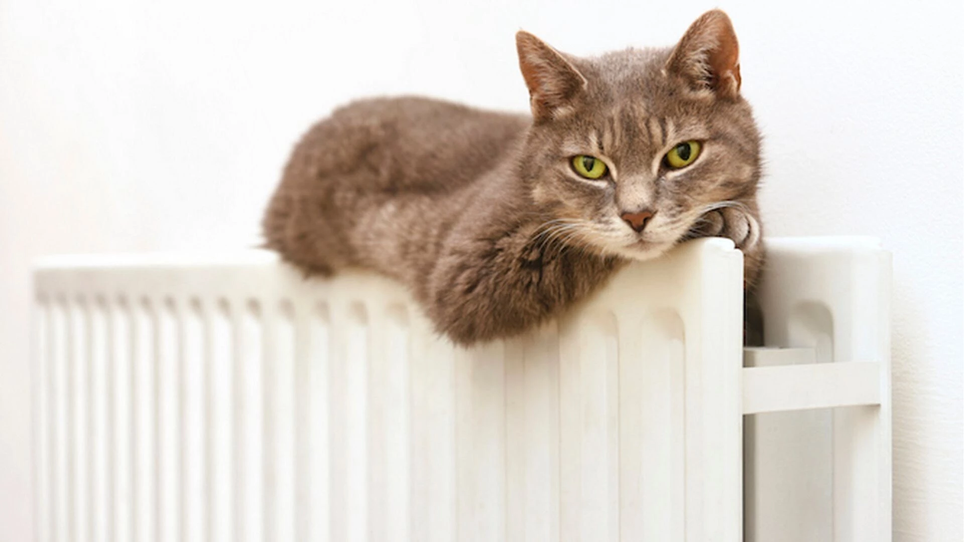 У Києві понад 700 житлових будинків залишаються без тепла