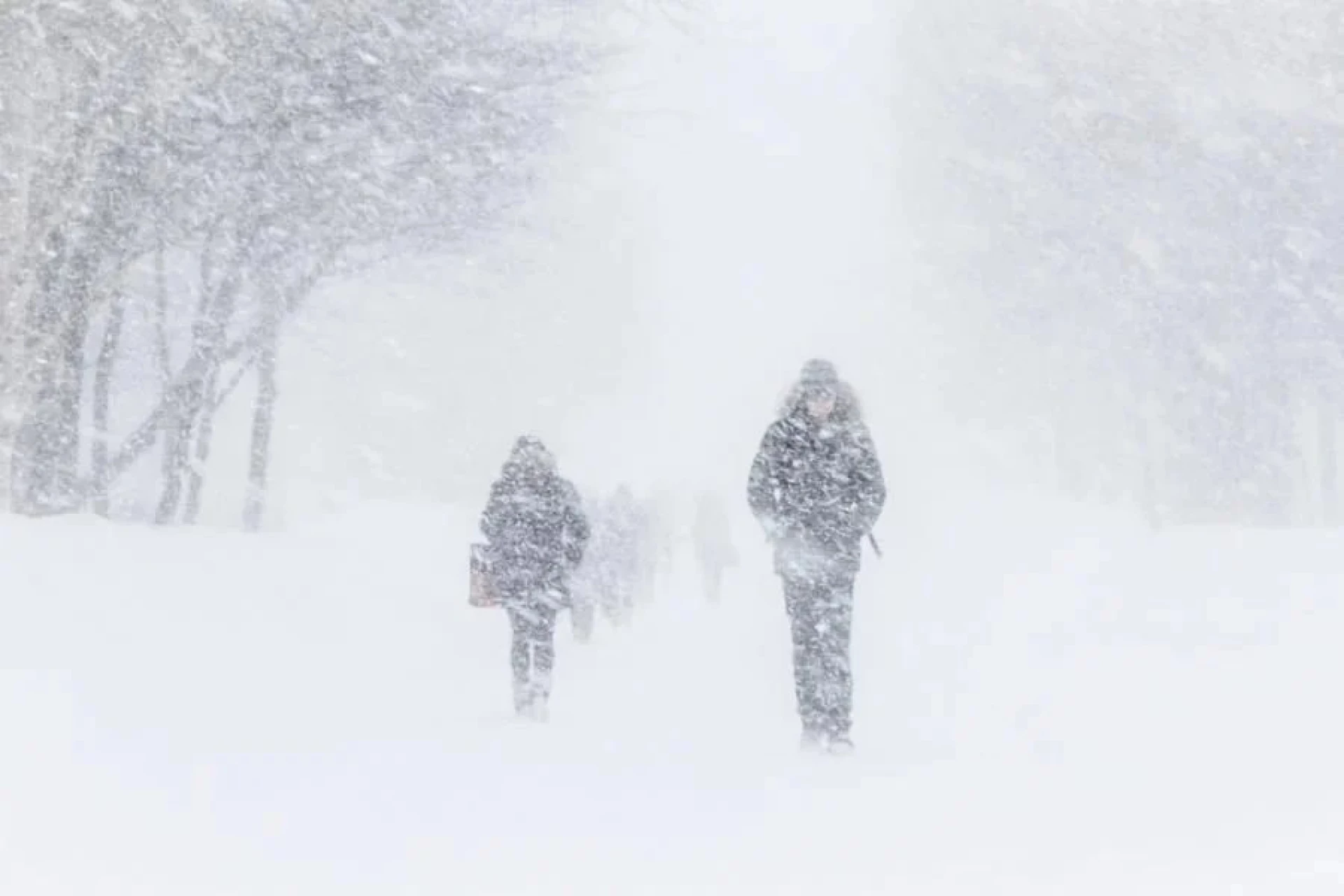 В Україну насуваються морози, місцями до – 30 градусів