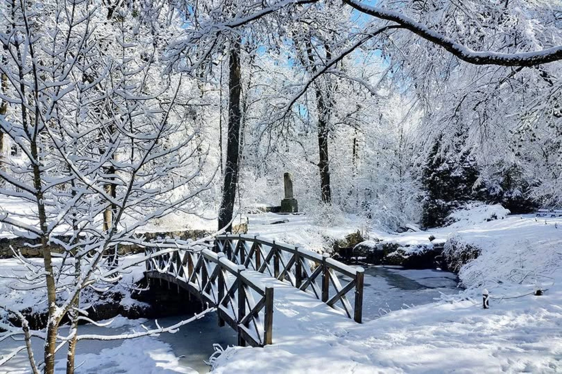 Зимовий відпочинок на Черкащині: лижі у Водяниках, ретрит у «Совиному Яру» та магія «Софіївки»