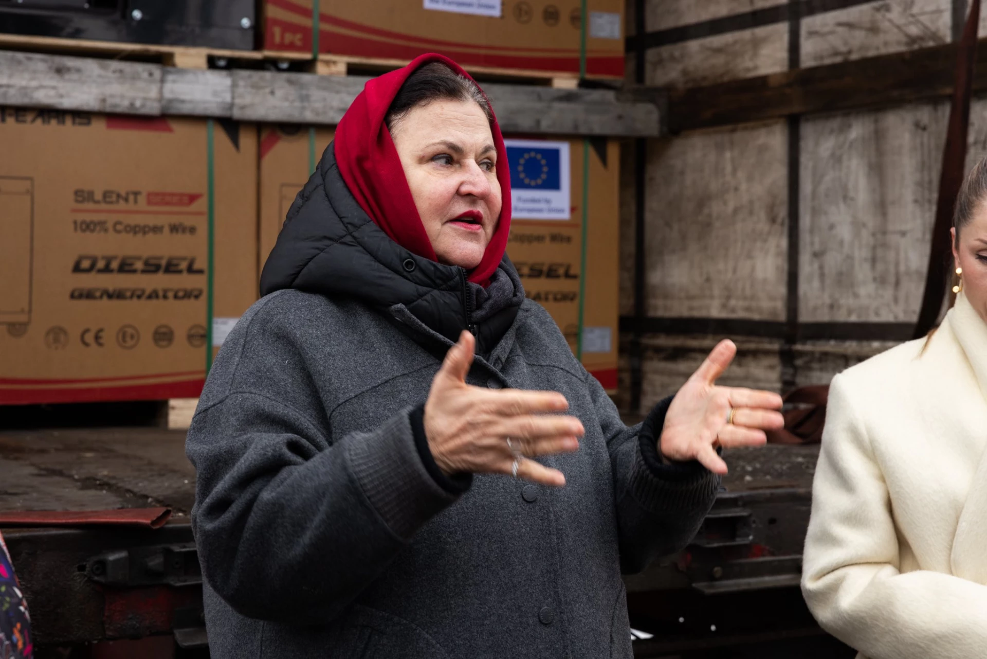 «Зима використовується як зброя»: посол ЄС відреагувала на масовану атаку РФ по Україні