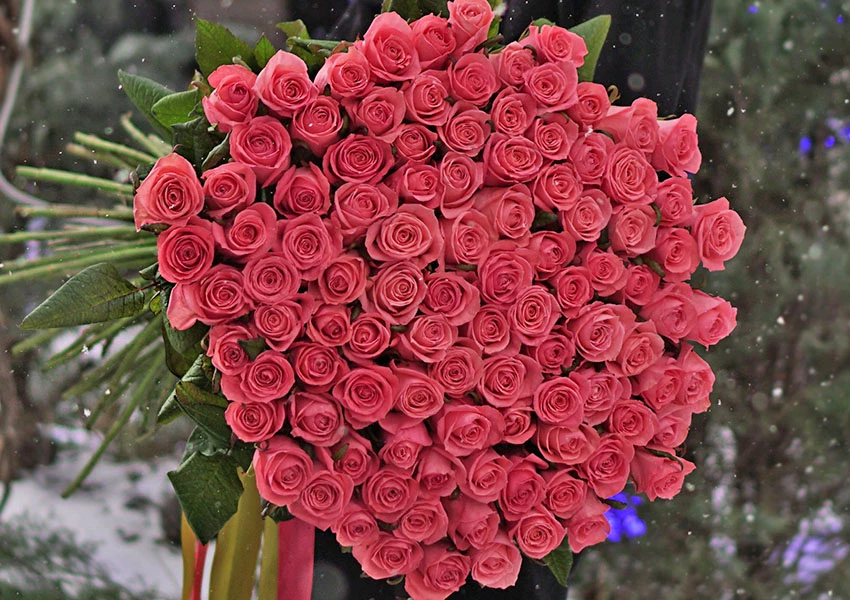 14 лютого: сервіс доставки по Києву радить замовити квіти он-лайн