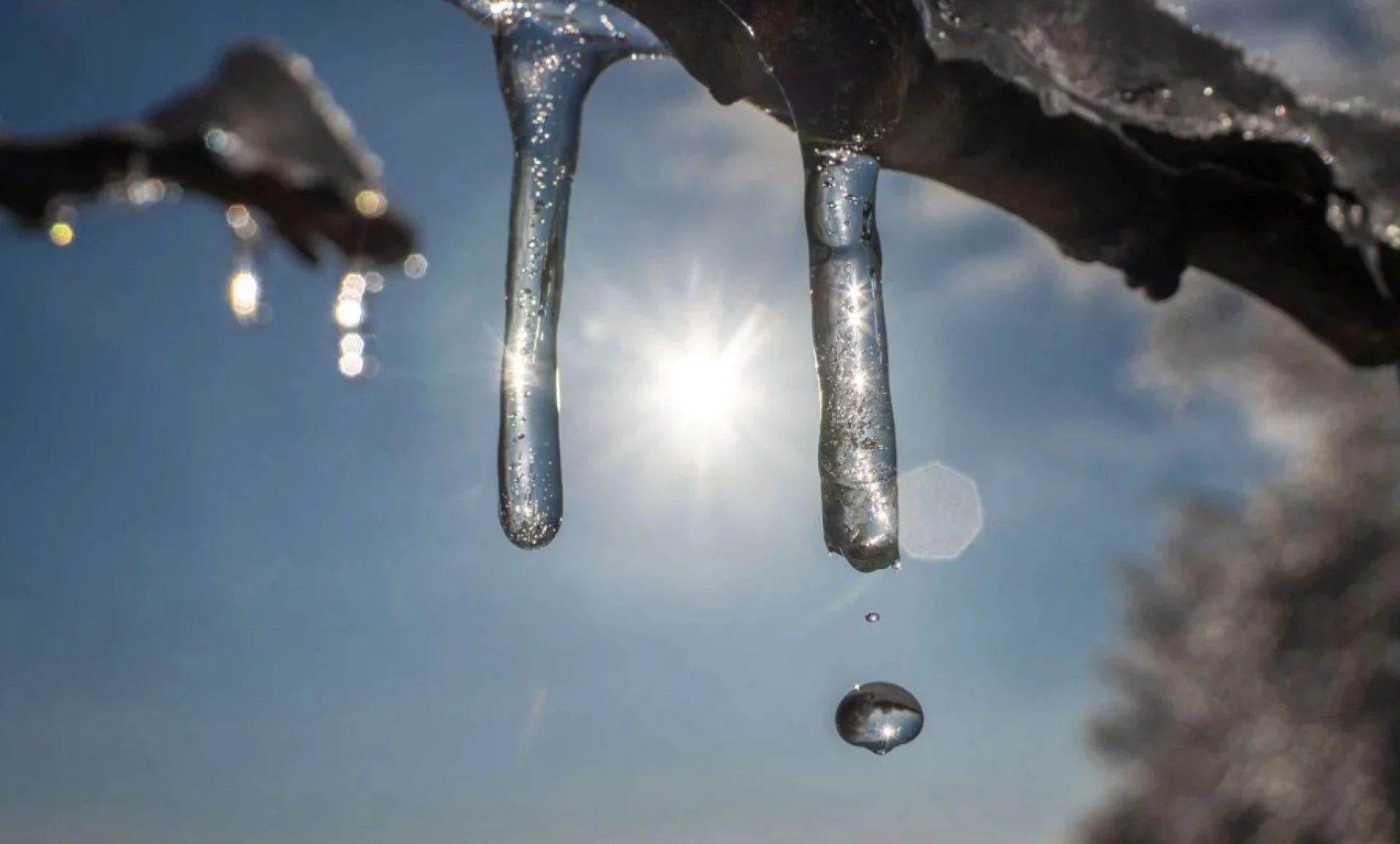 Майже весняне тепло прогнозують на Черкащині у четвер і п’ятницю