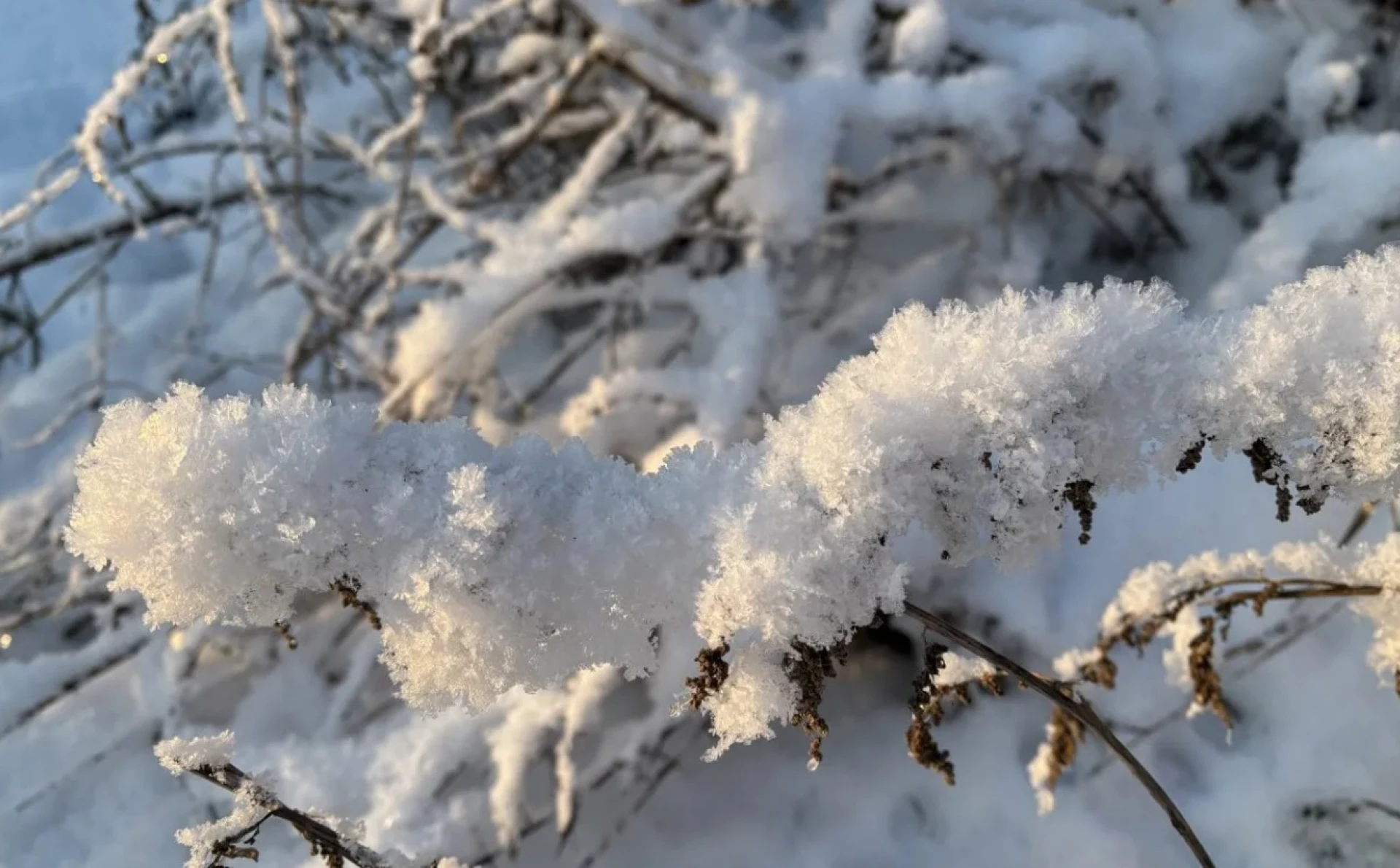 Циклон принесе значний сніг на Черкащину
