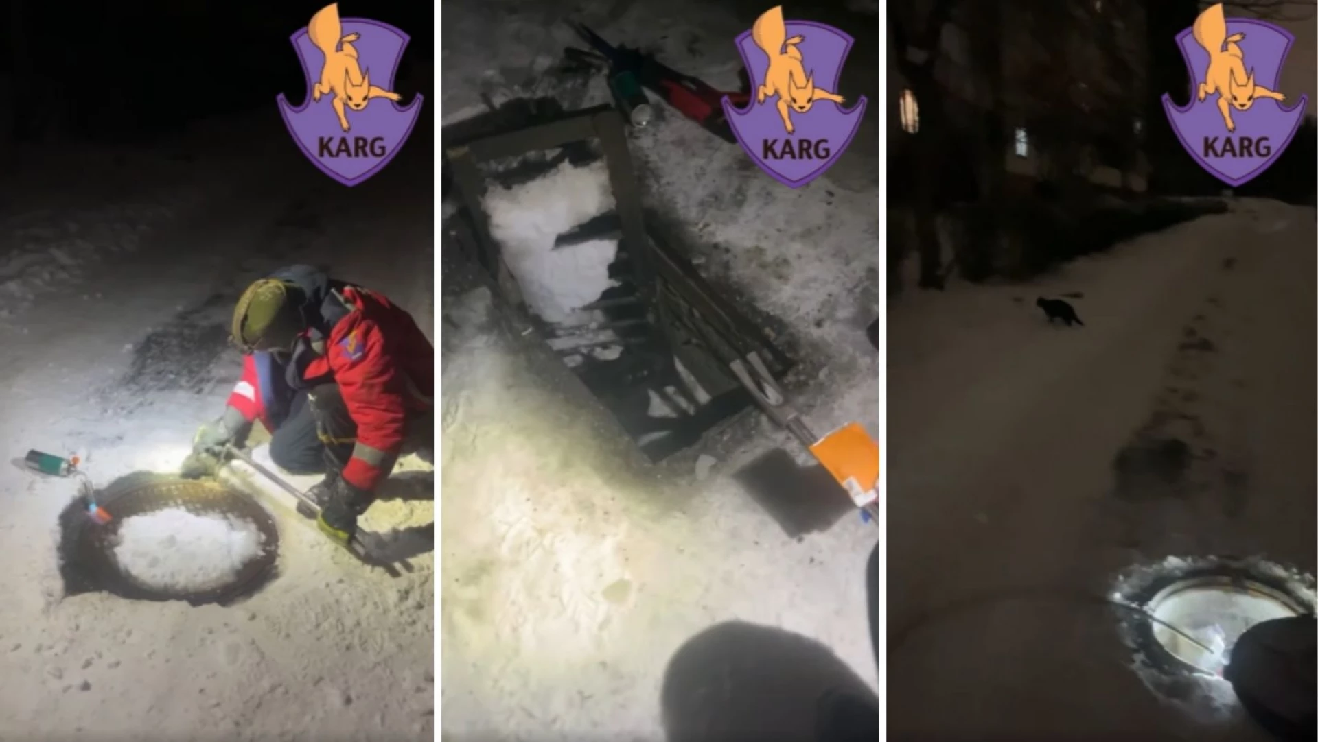 У Києві врятували кота, який застряг під решіткою зливостоку