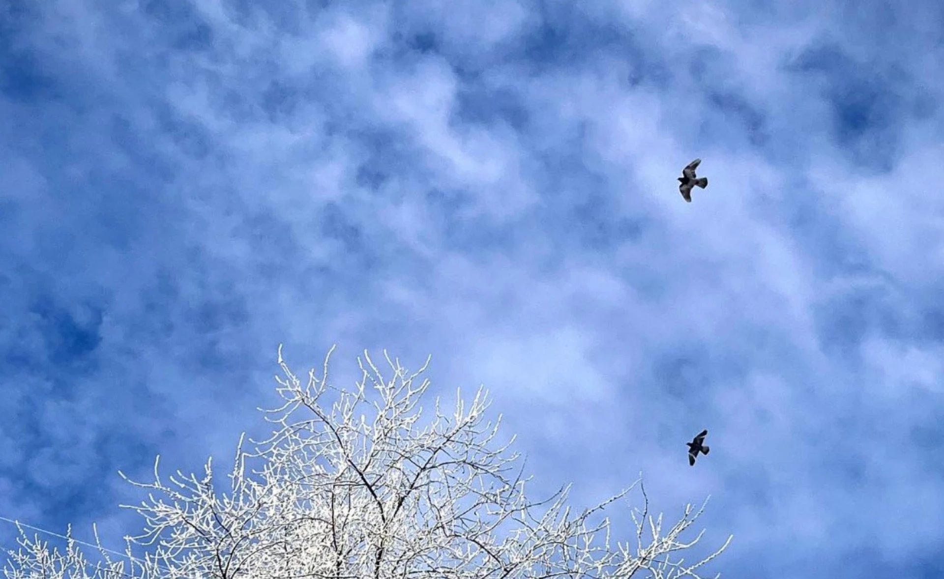Якою буде погода у перші дні весни на Черкащині