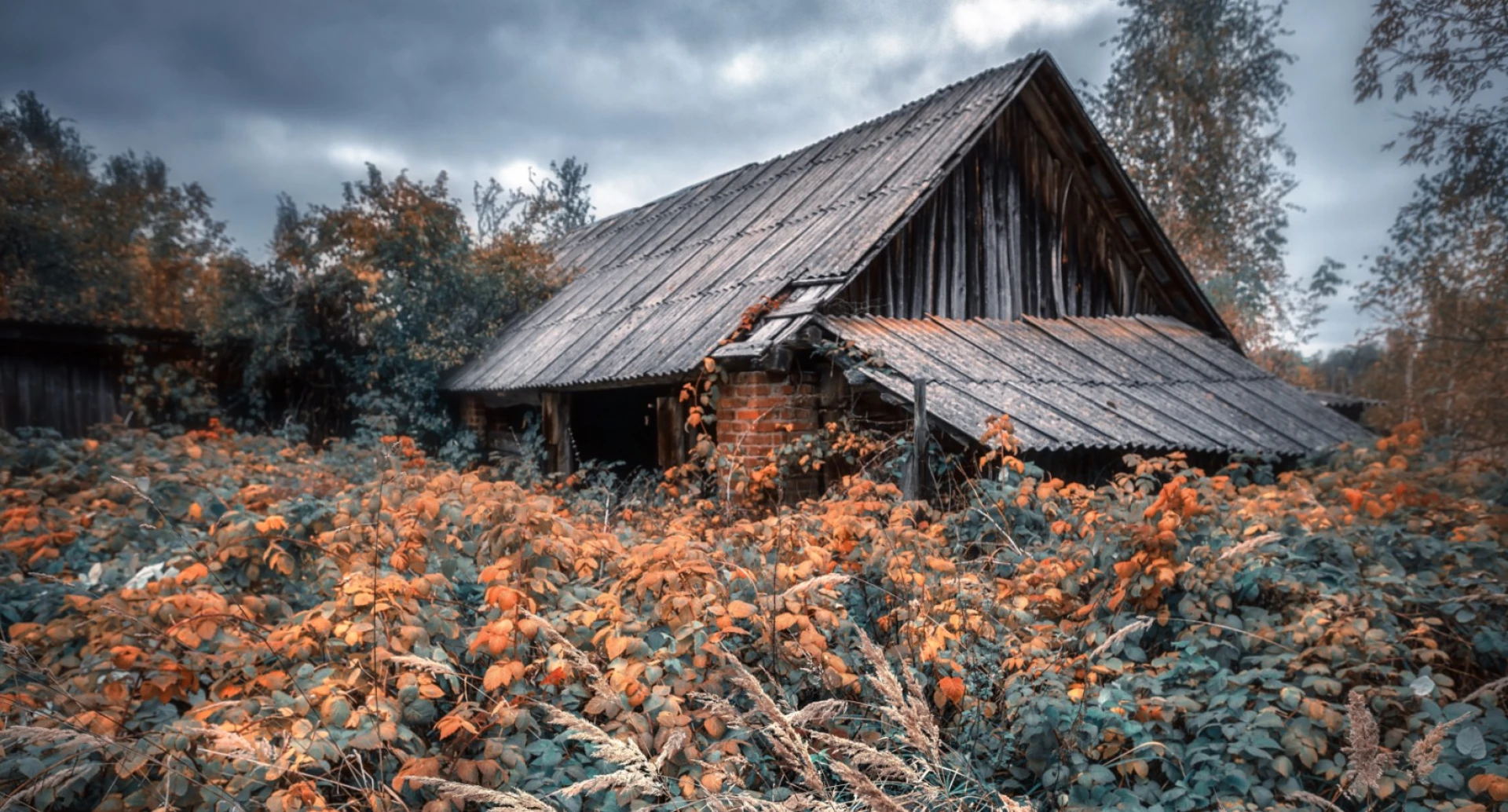 Покинуті села Черкащини: затоплені козацькі поселення і сучасні «мертві» хутори