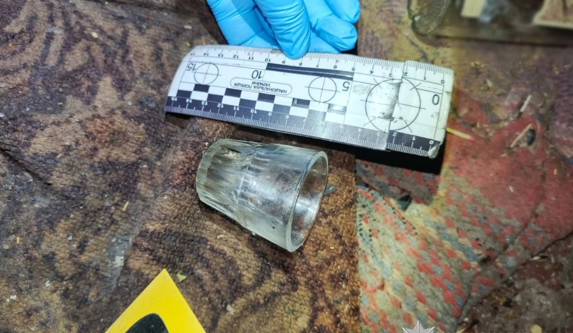 Замах на вбивство у Черкаській області: поліцейські затримали жінку