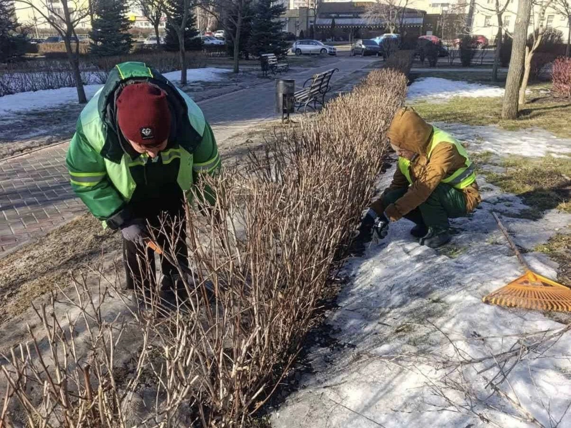 У столичних парках розпочали підготовку рослин до весняно-літнього сезону