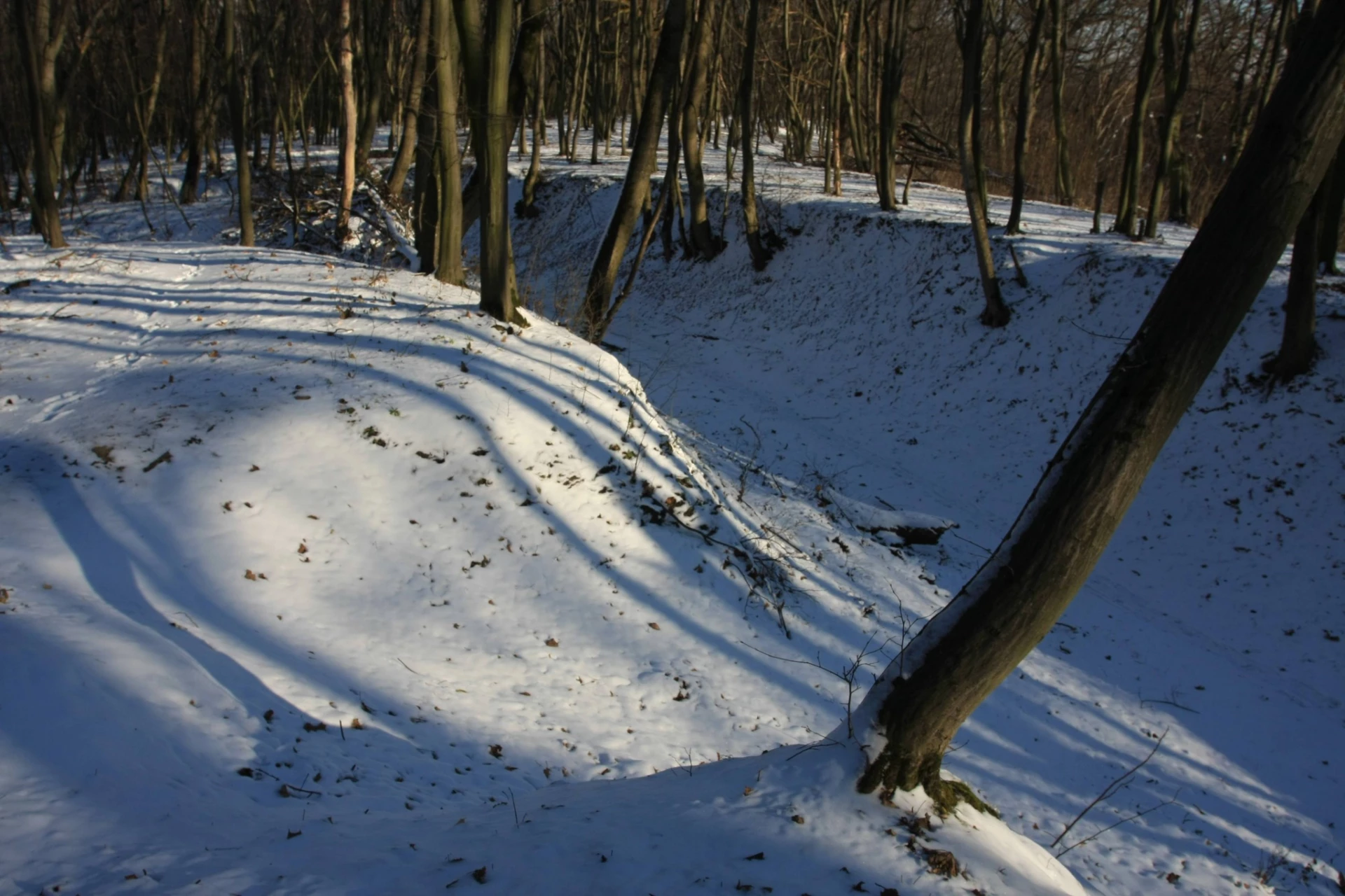 Маловідома історична пам’ятка Києва: Танкова дорога в Голосієві