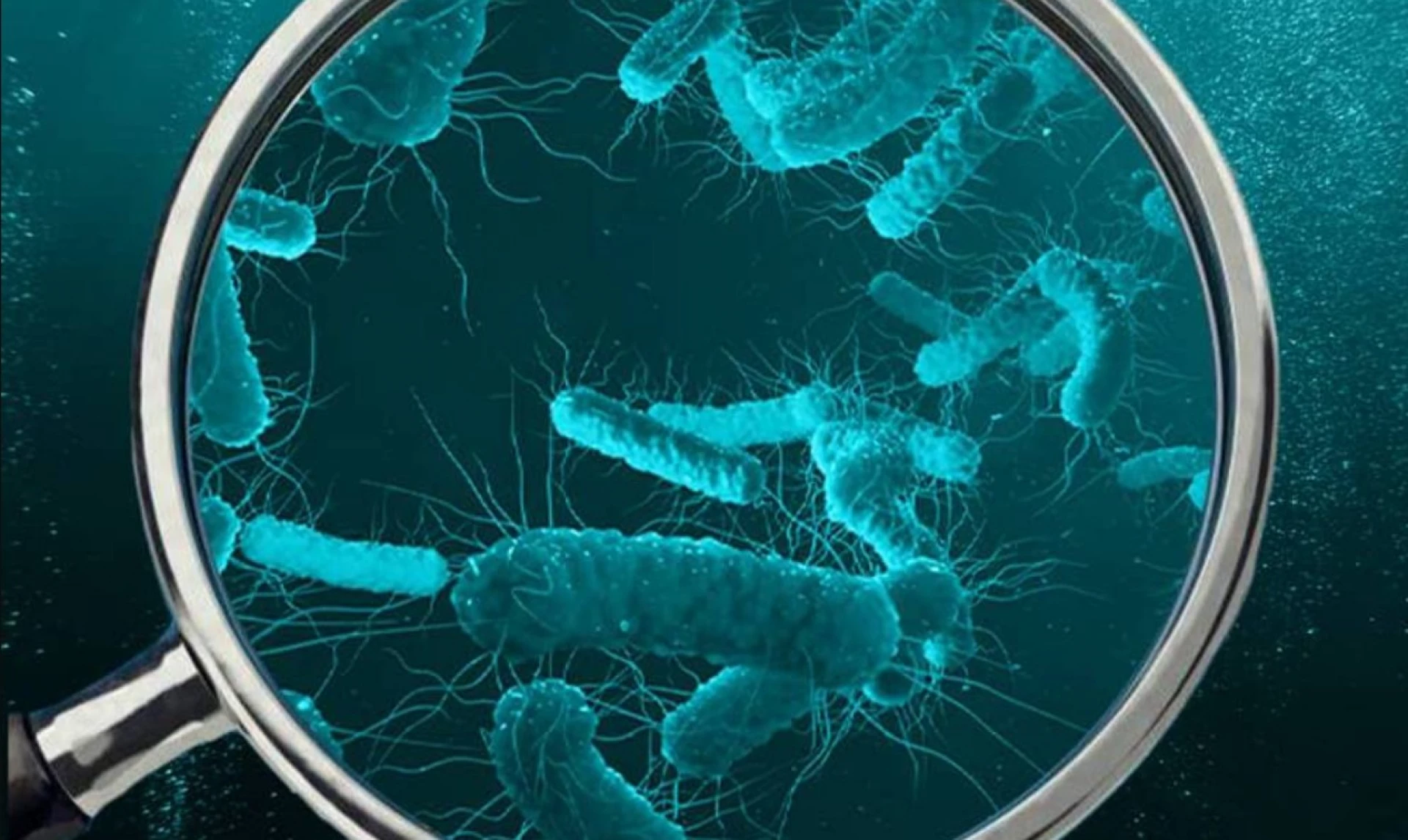 Кишкову паличку виявили у водогоні на Черкащині