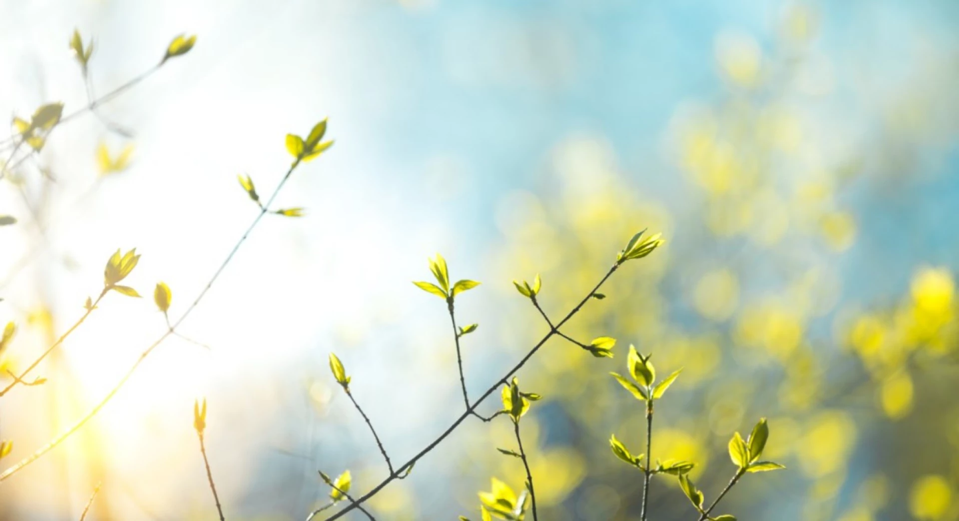 Після дуже теплої п’ятниці на Черкащині очікують похолодання