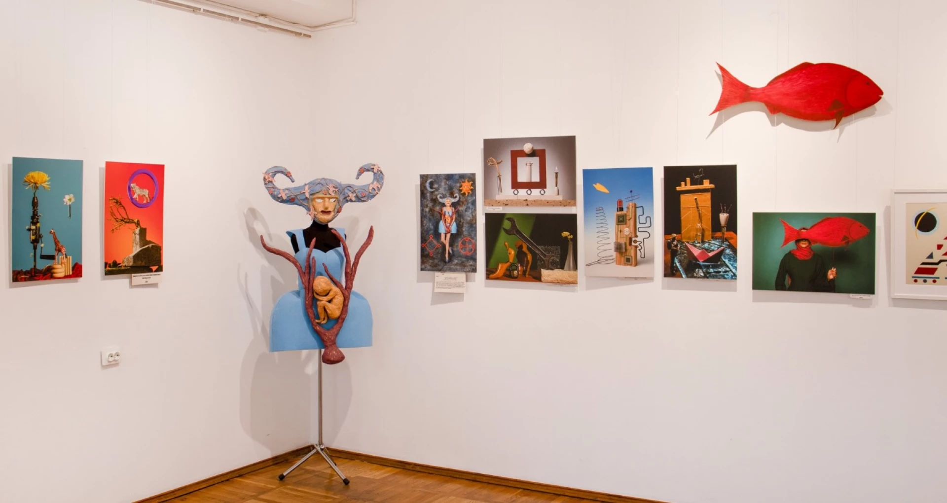 Художниця і фотограф відкрили виставку у черкаському музеї. Фото