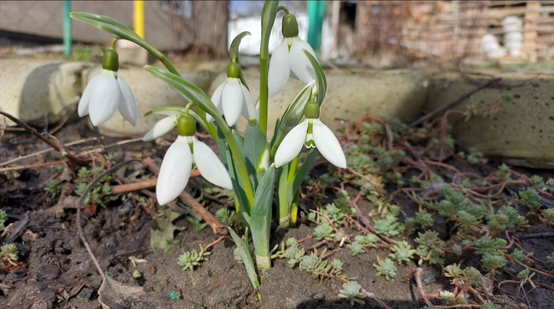 Зміна вітрів принесе похолодання на Черкащину