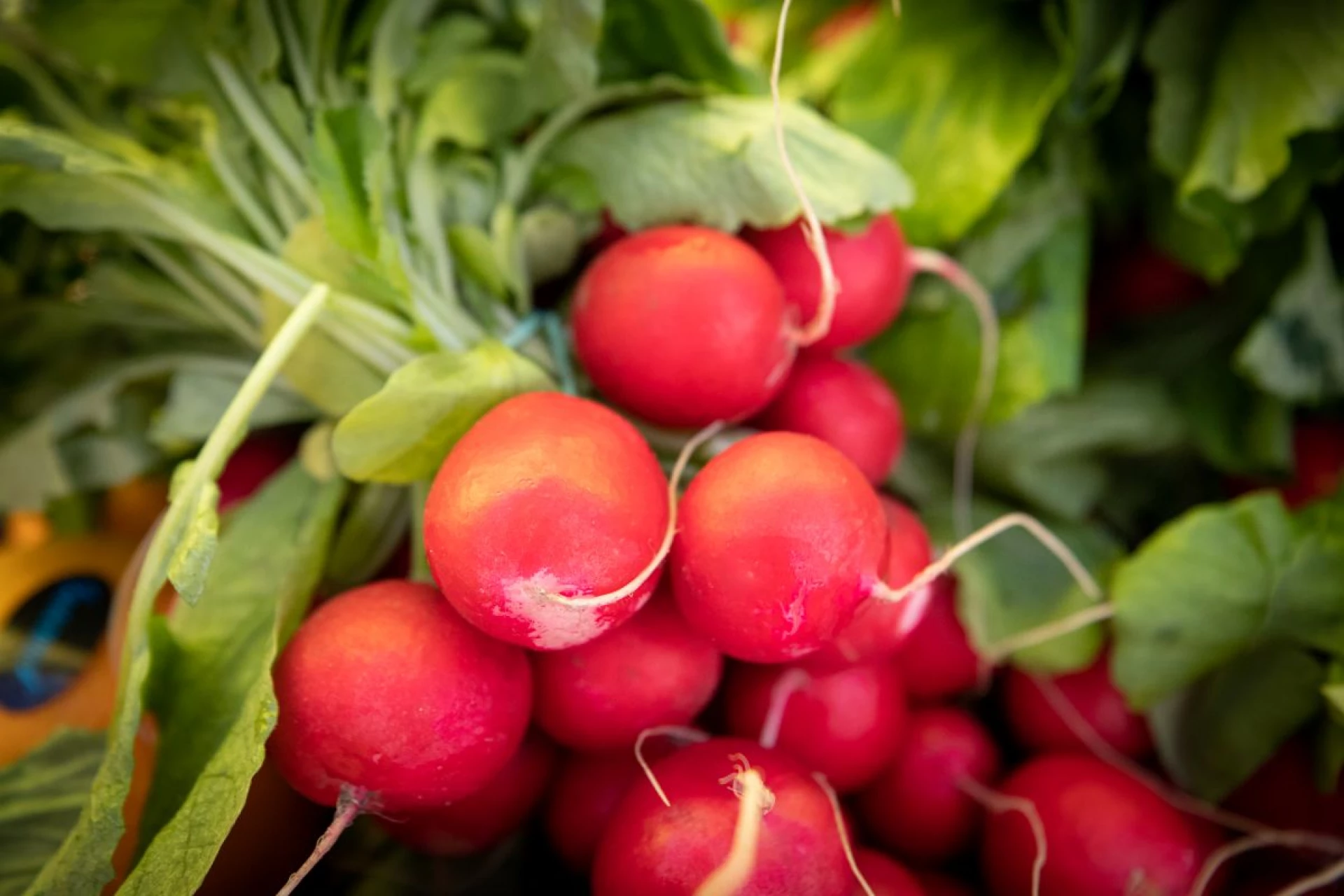 Ярмарки у Києві 23 березня: розклад, адреси