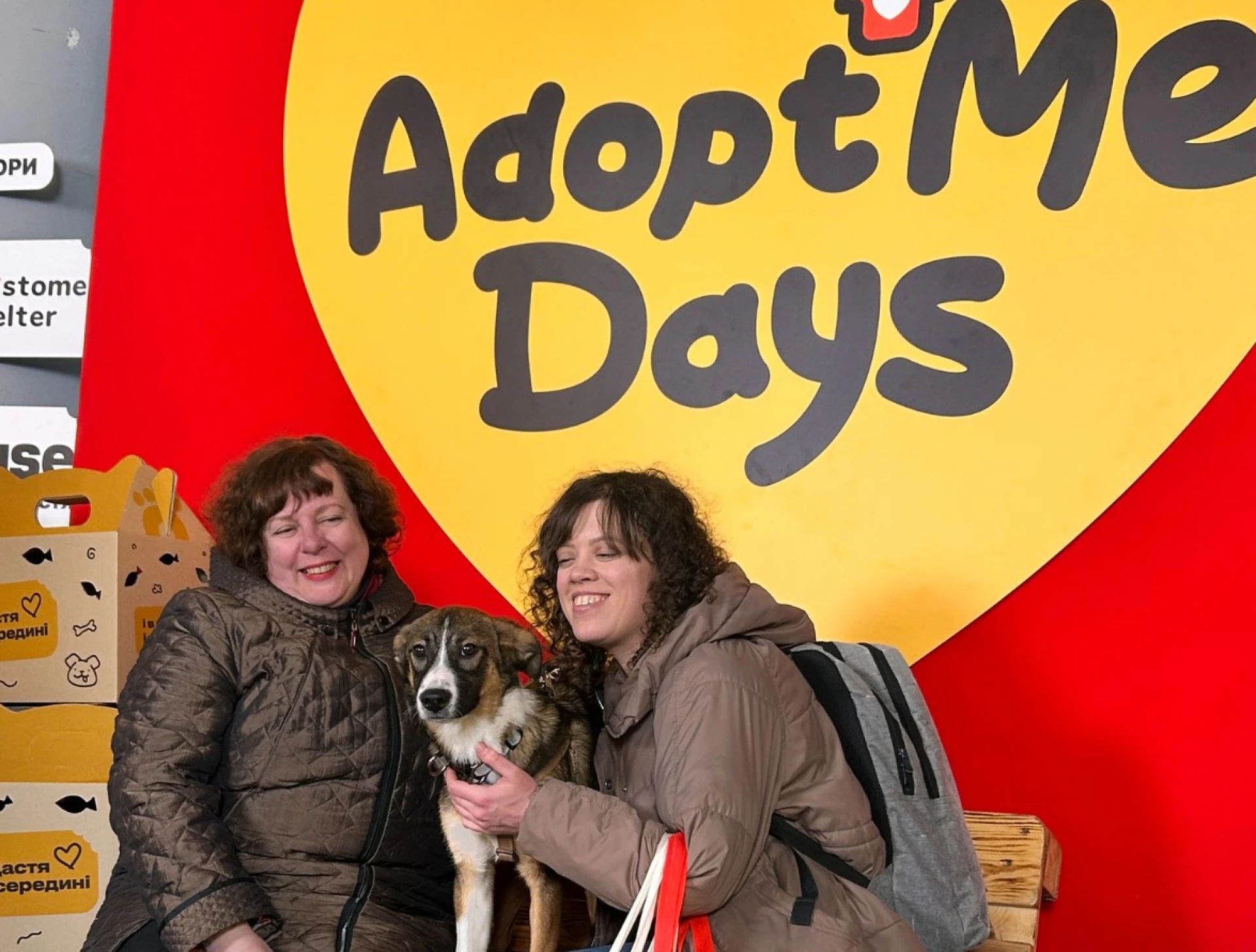 Майже півтори сотні безхатніх тварин знайшли петбатьків на фестивалі у Києві