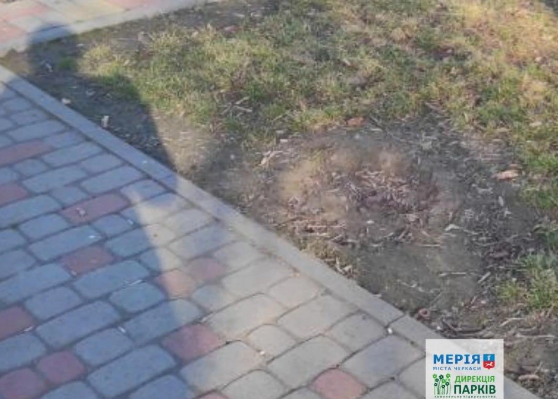 У парку Богдана Хмельницького вкрали сміттєву урну