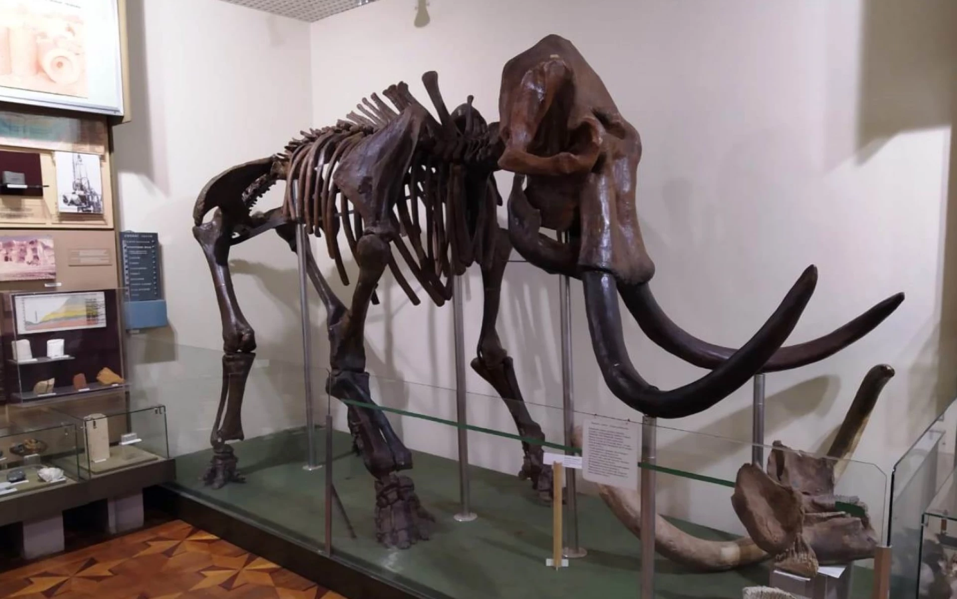 Найкращі музеї Черкас: перелік музеїв, адреси та унікальні експонати