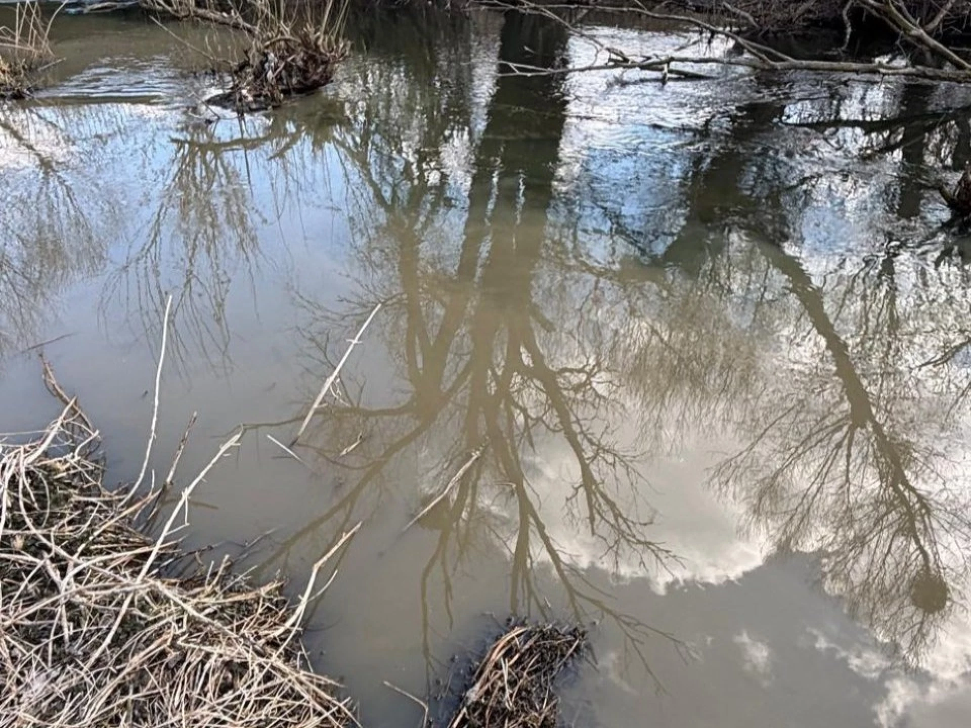 На Бучанщині виявили витік неочищених стічних вод у водойму