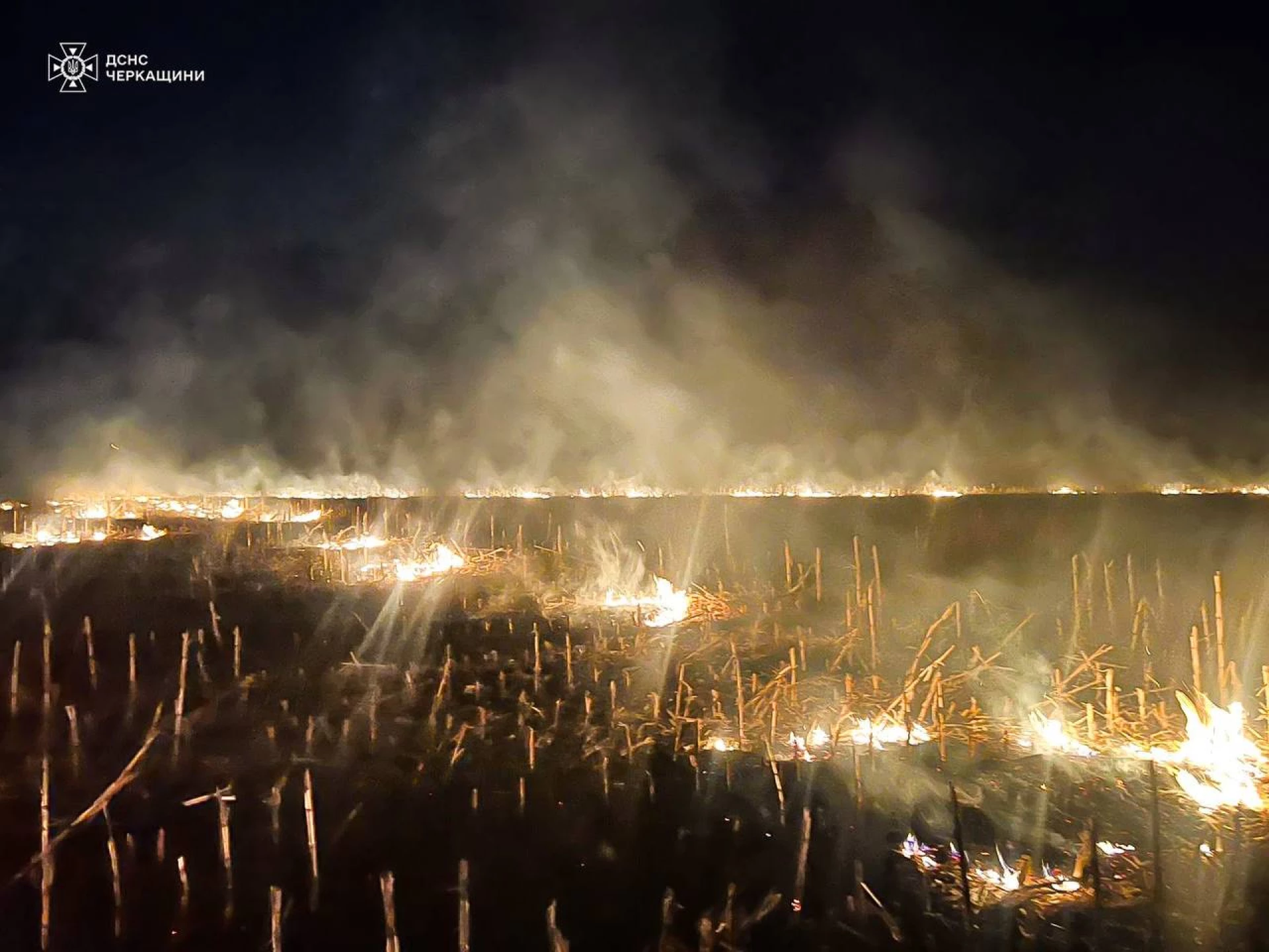 На Черкащині рятувальники ліквідували 10 пожеж в екосистемах