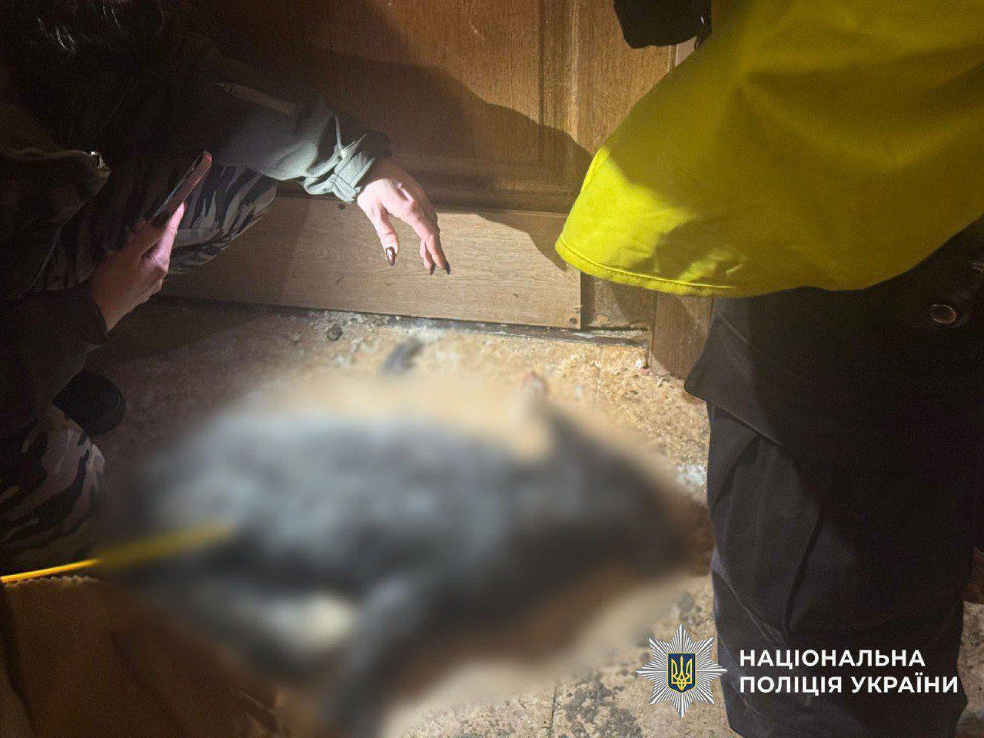 Киянці, яка тримала вдома лисицю, оголосили підозру