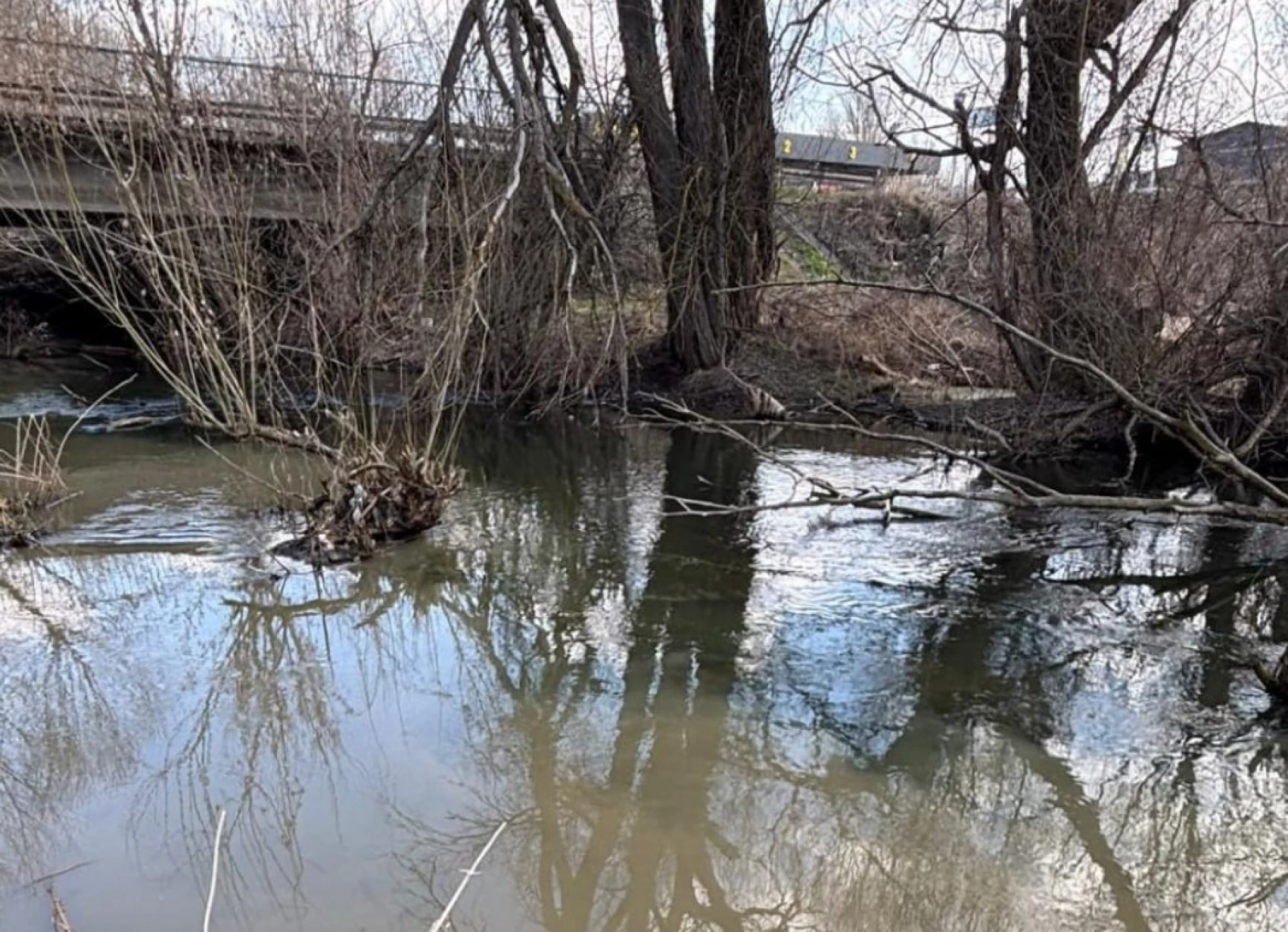 В річку Бучу скидають стічні води, стан водного об’єкта називають критичним