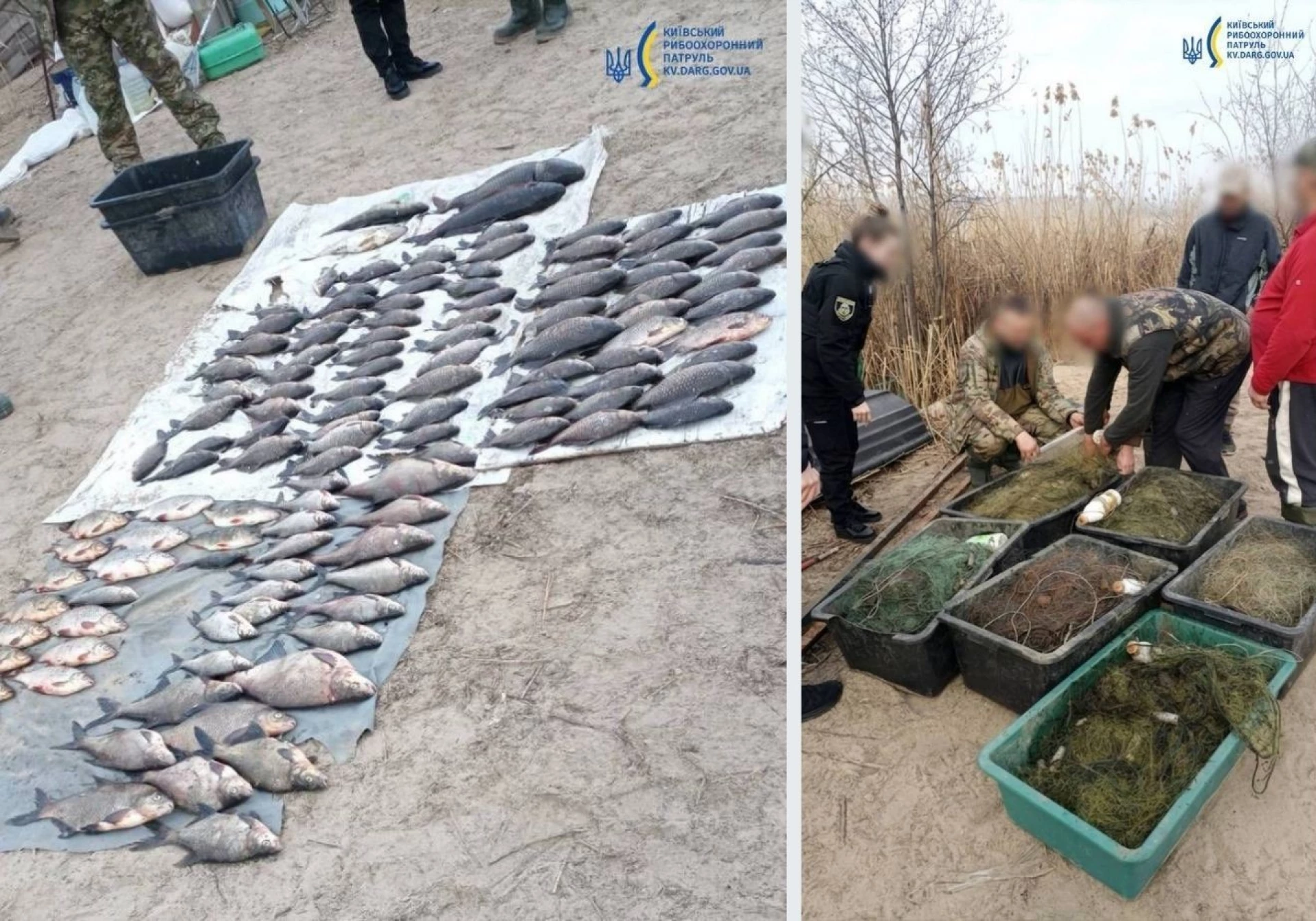 Незаконний вилов на понад 200 тисяч: на Київщині викрили браконьєрів