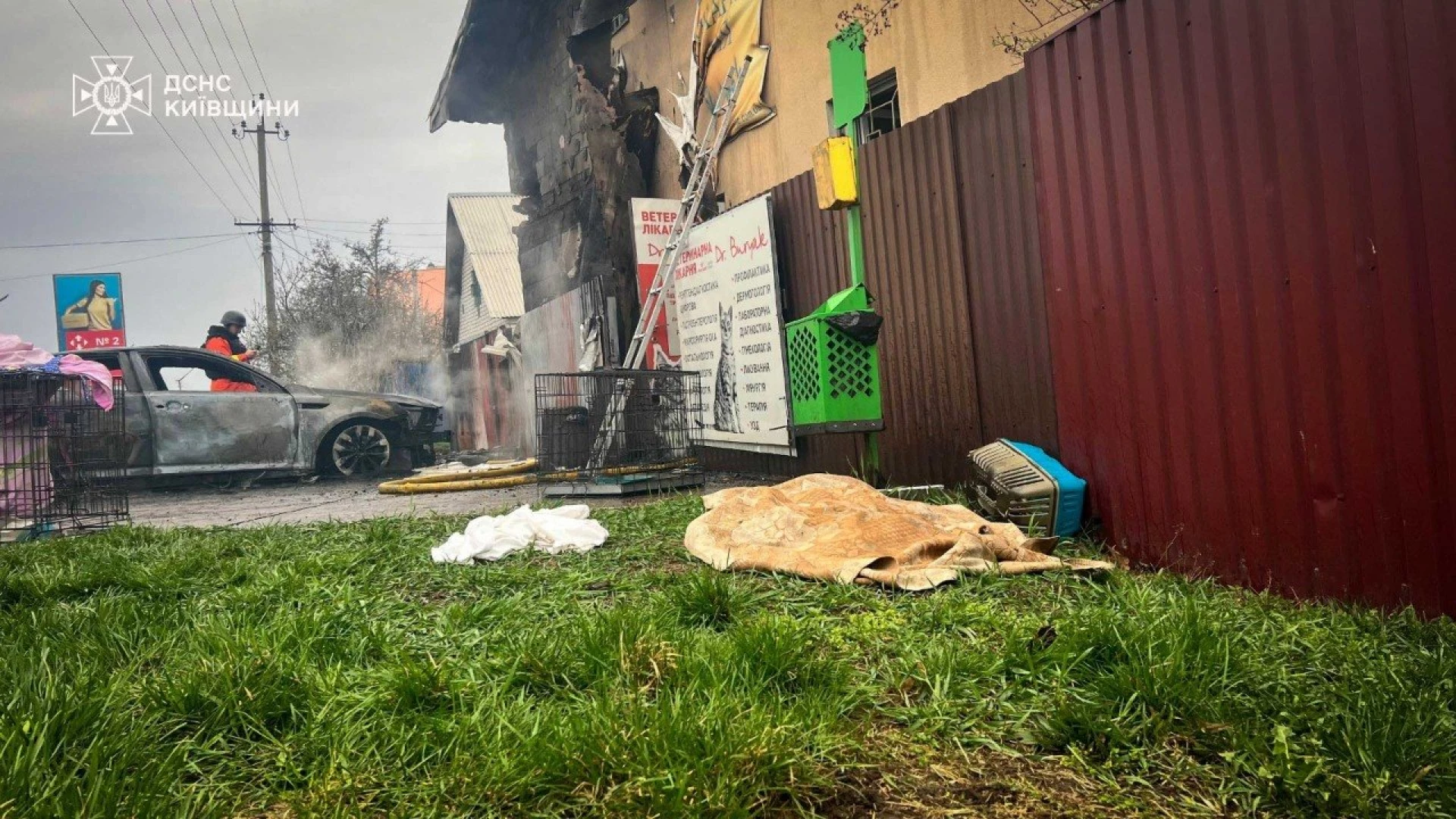 Росіяни атакували ветклініку на Київщині: загинули тварини