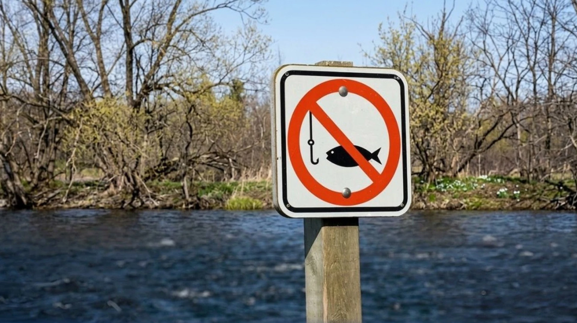 На Черкащині запровадили нерестову заборону: діють обмеження для рибалок