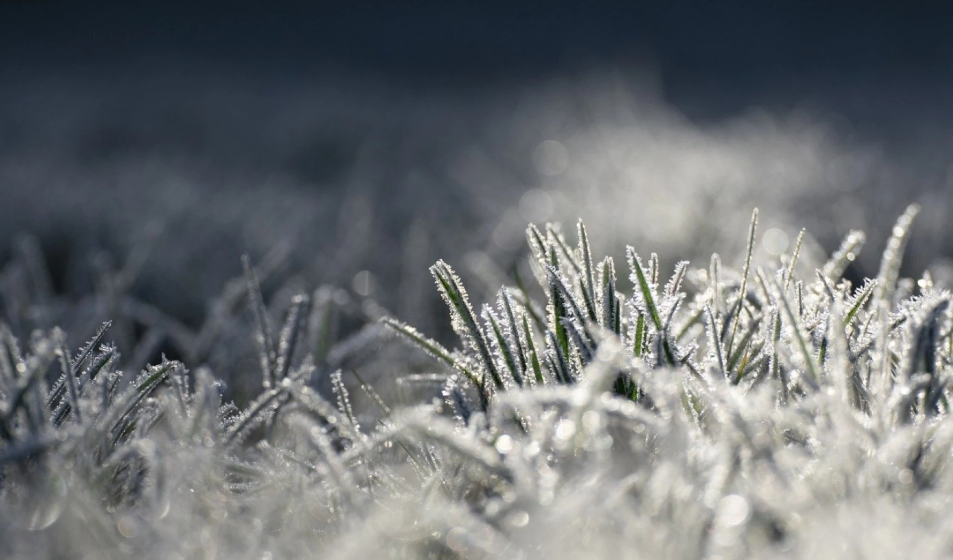 Сильний вітер, заморозки і мокрий сніг прогнозують на Черкащині до Великодня