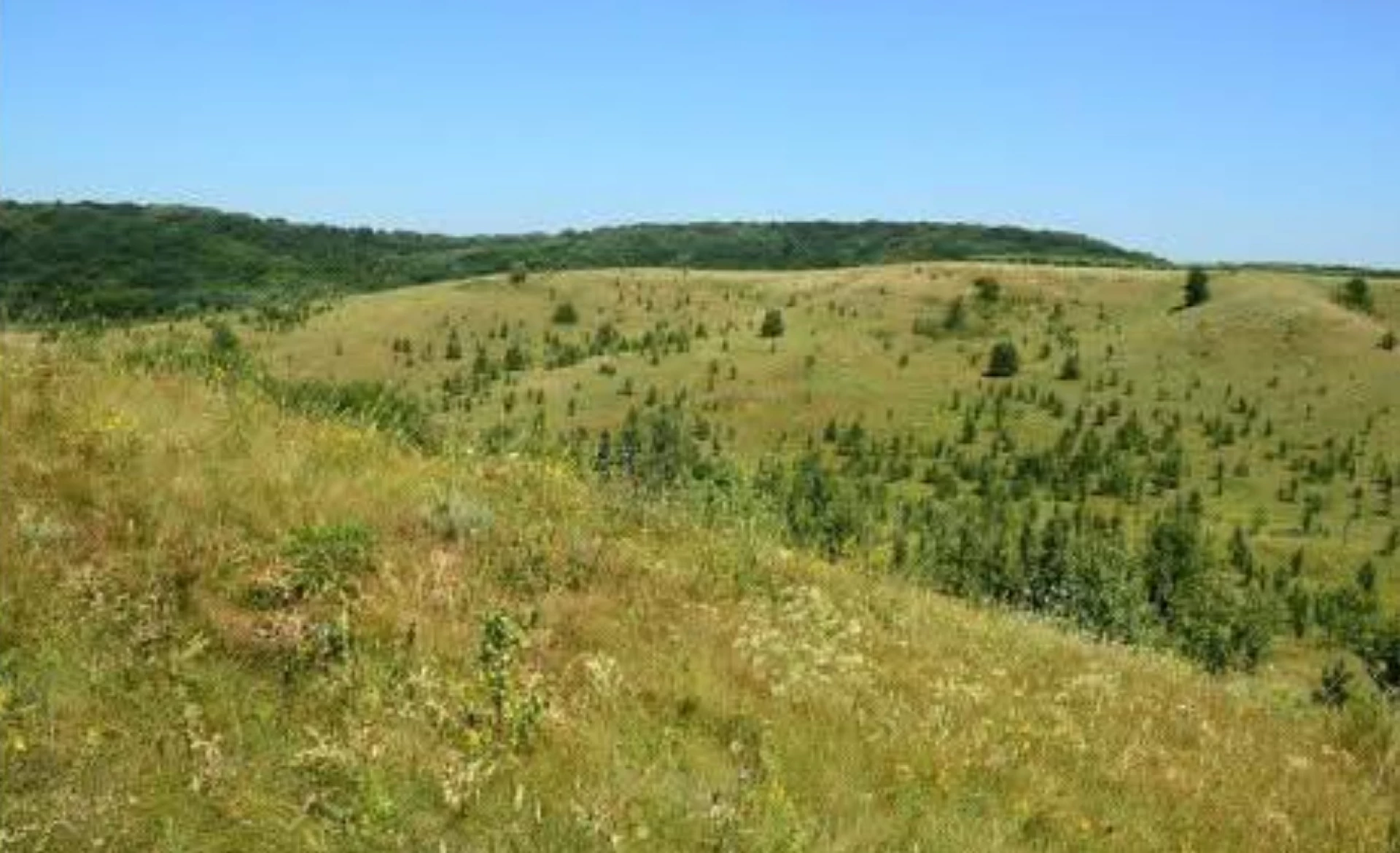 До Державного земельного кадастру внесли межі заказника «Медова долина» на Черкащині