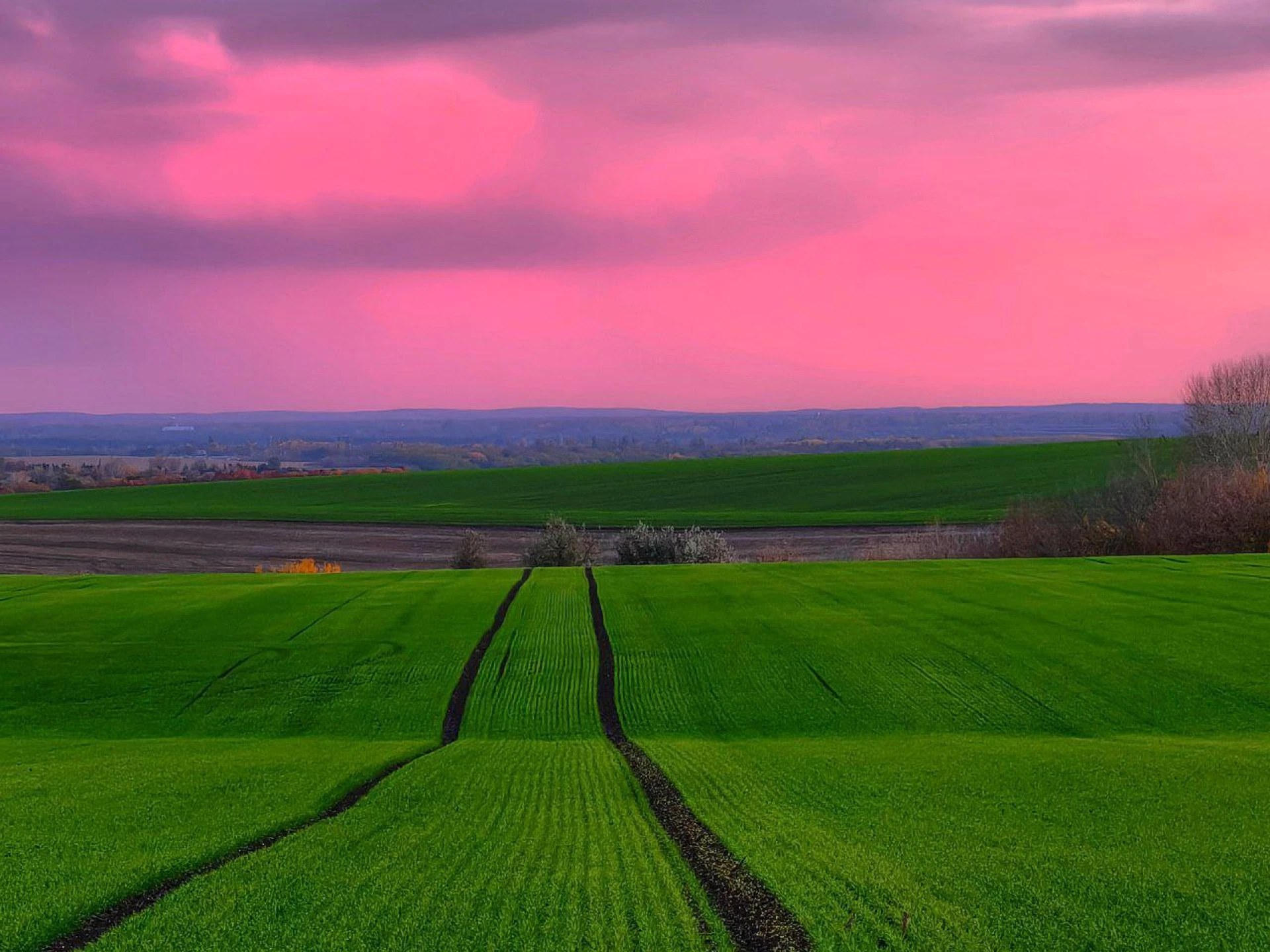 Артем Турчинік пішки мандрує Черкащиною, щоб зробити вражаючі фото природи. Дивіться світлини