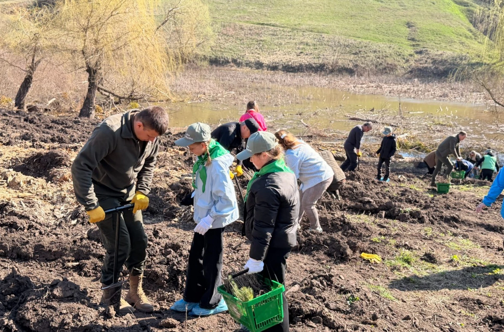 Новий гай висадили в урочищі на Черкащині. Фото