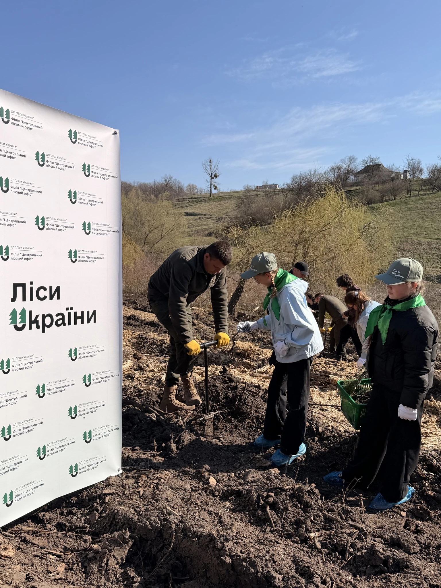 Новий гай висадили в урочищі на Черкащині. Фото