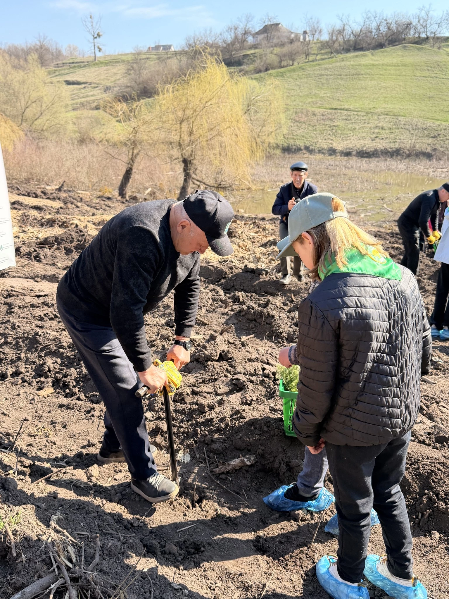 Новий гай висадили в урочищі на Черкащині. Фото