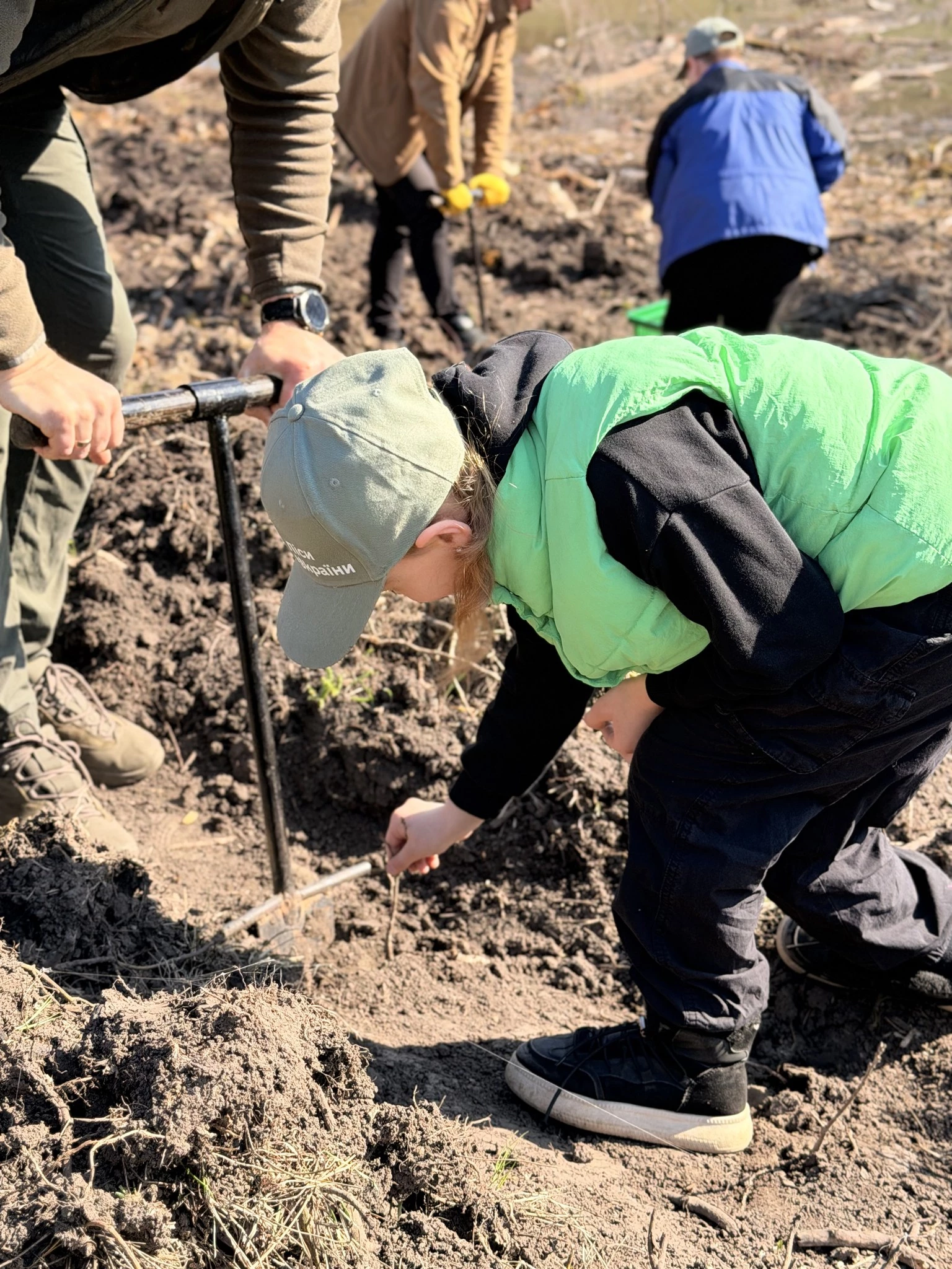 Новий гай висадили в урочищі на Черкащині. Фото