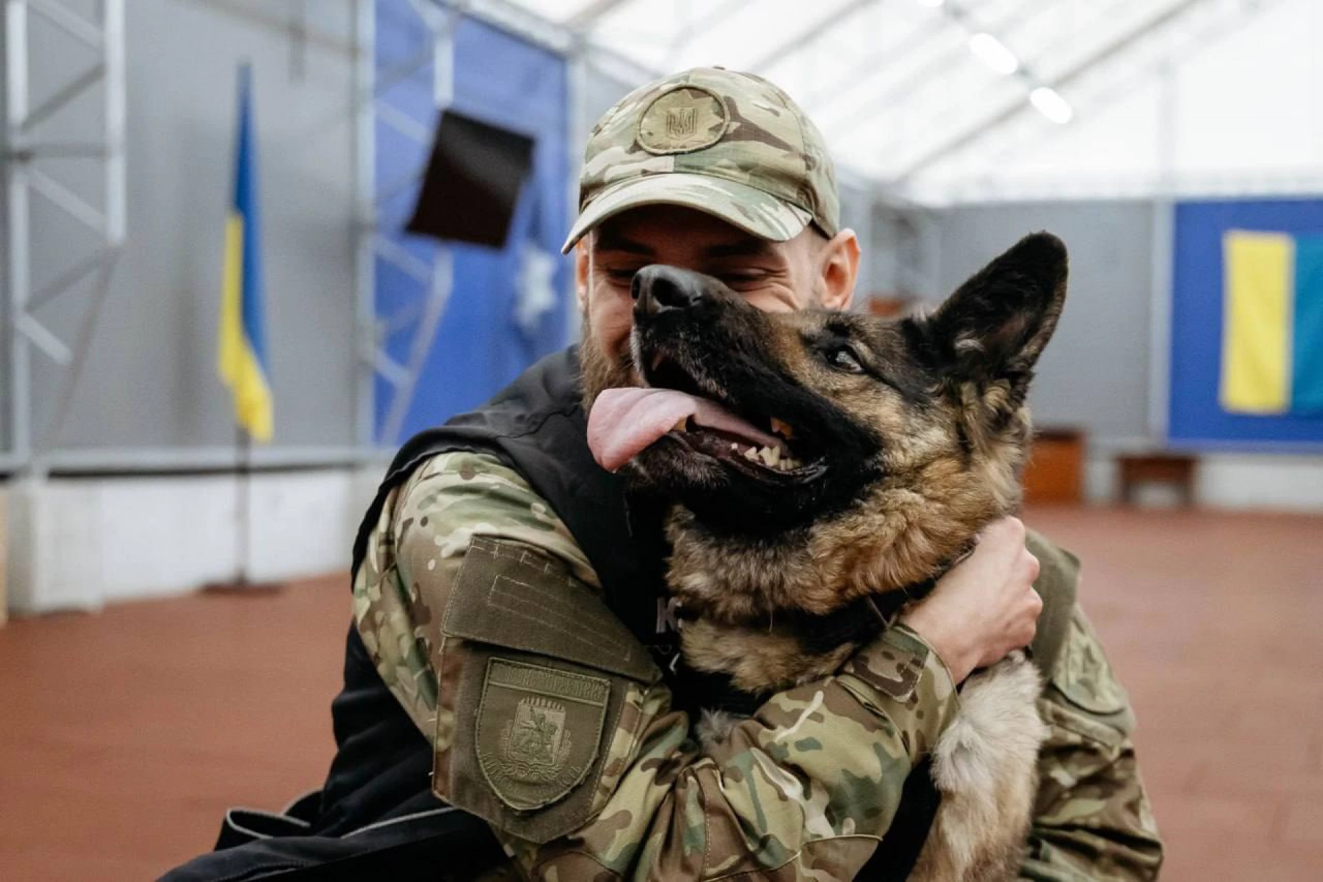 Повернувся до служби після поранення: історія ветерана-кінолога та його собаки Роксі