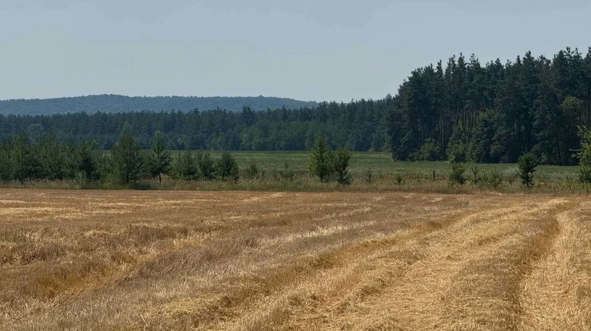 Росіянка не змогла отримати землю, яку отримали у спадок на Звенигородщині
