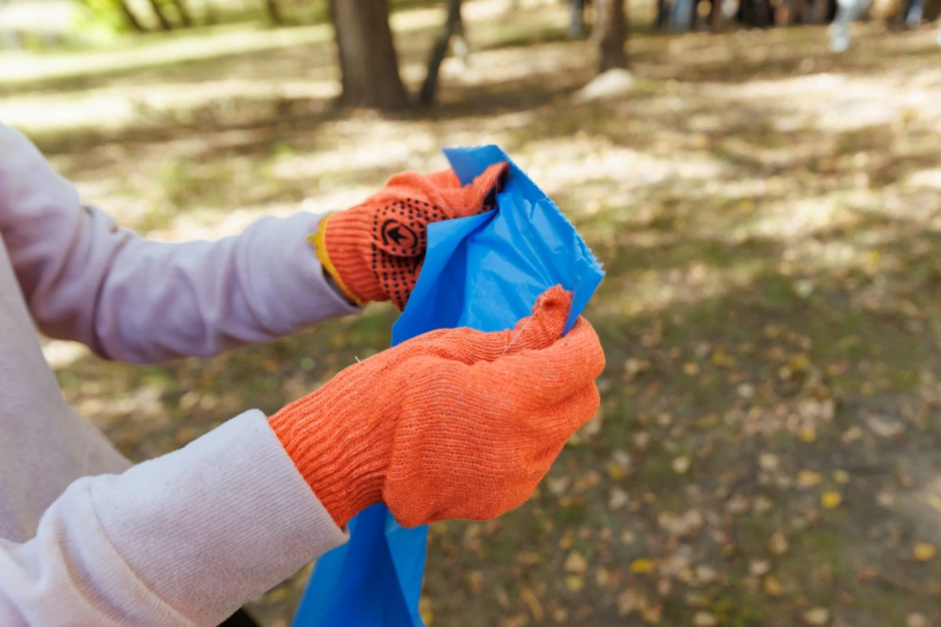 Киян запрошують долучитися до головної весняної толоки: перелік локацій