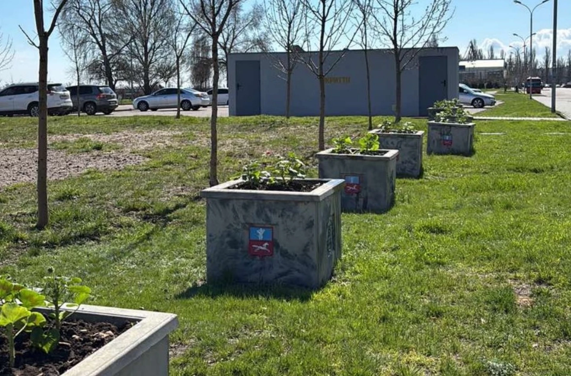 Квітникарі висадили пеларгонію у парках Черкас