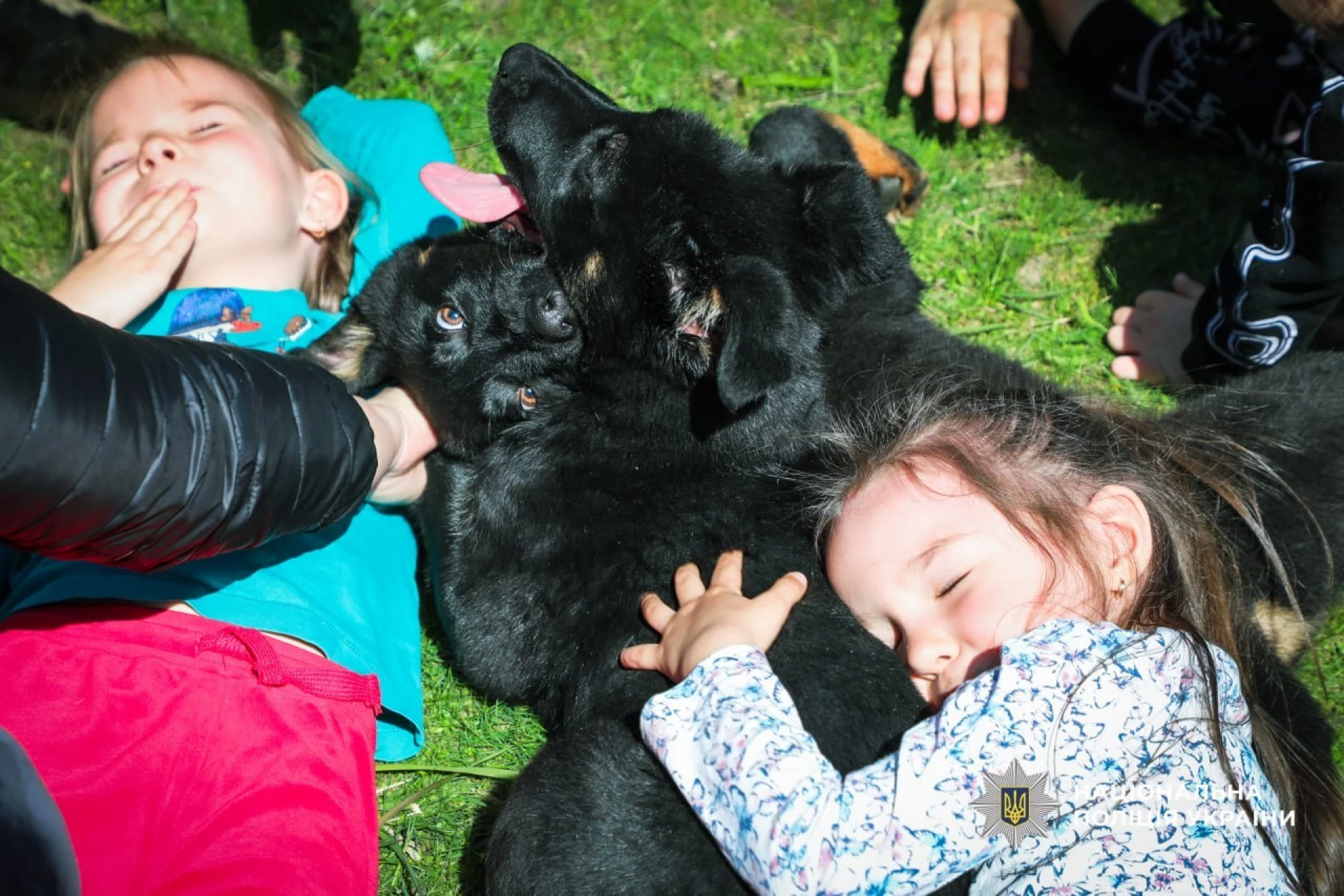 Чотирилапа підтримка: у Черкасах провели сеанс каністерапії для дітей загиблих поліцейських