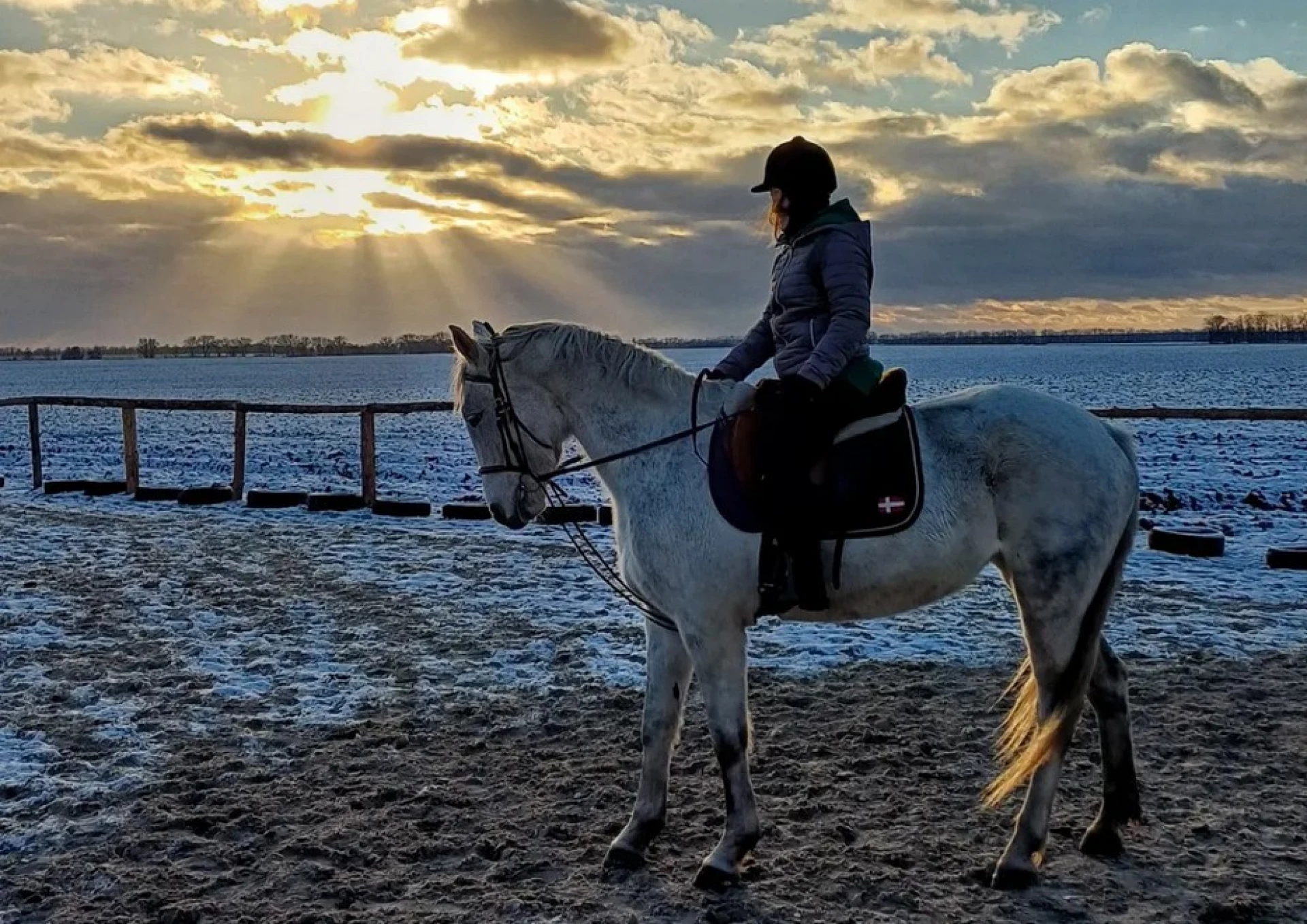 Катання на конях у Черкасах: 5 найкращих клубів