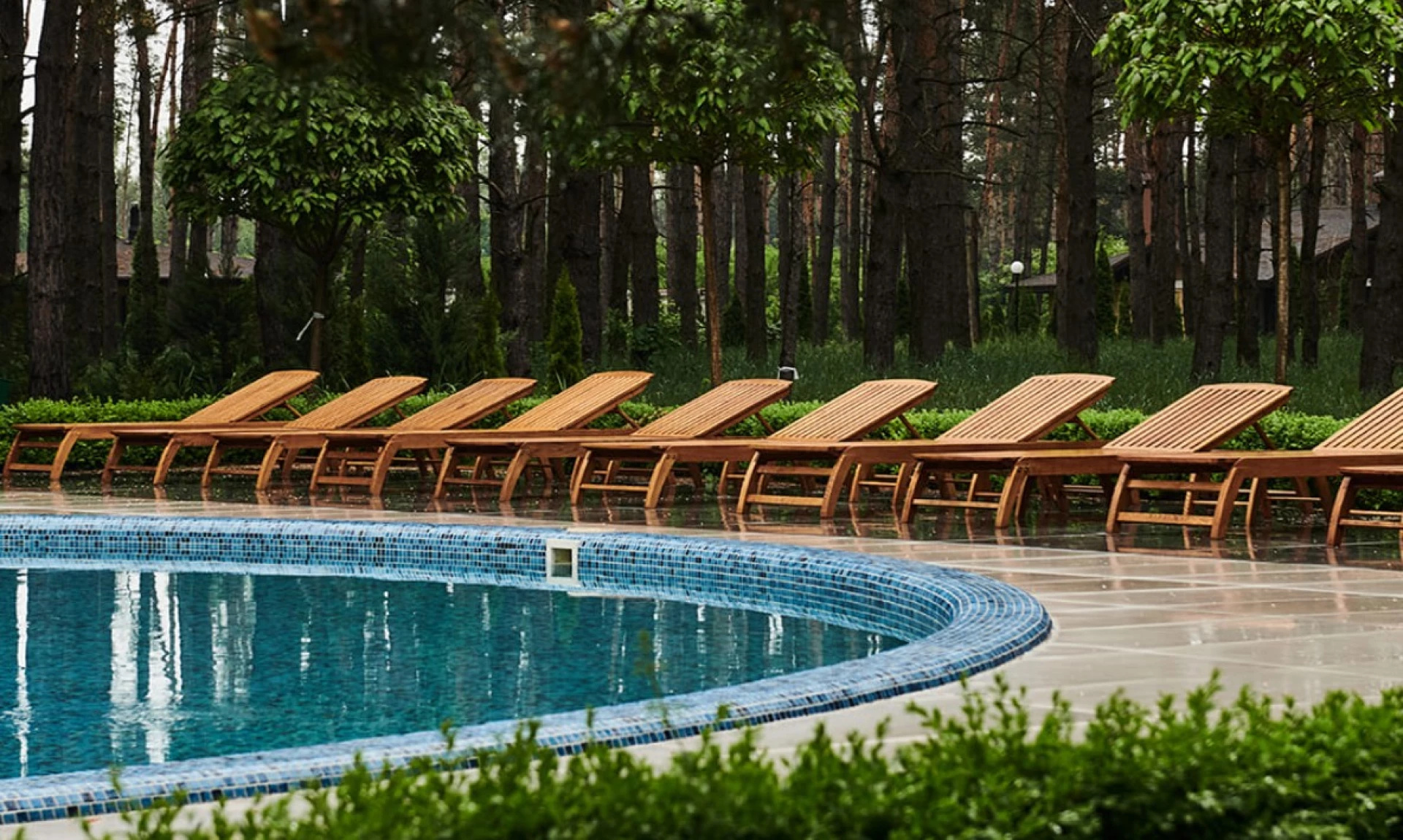 Літні Черкаси: відпочинок з басейном у лісі та на узбережжі