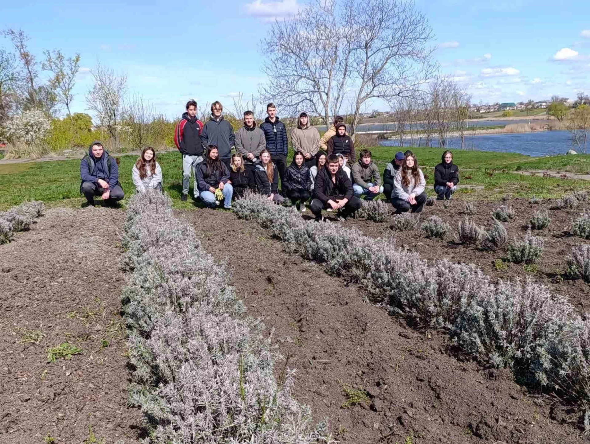 У Чорнобаївському гаю випускники посадили лаванду. Фото