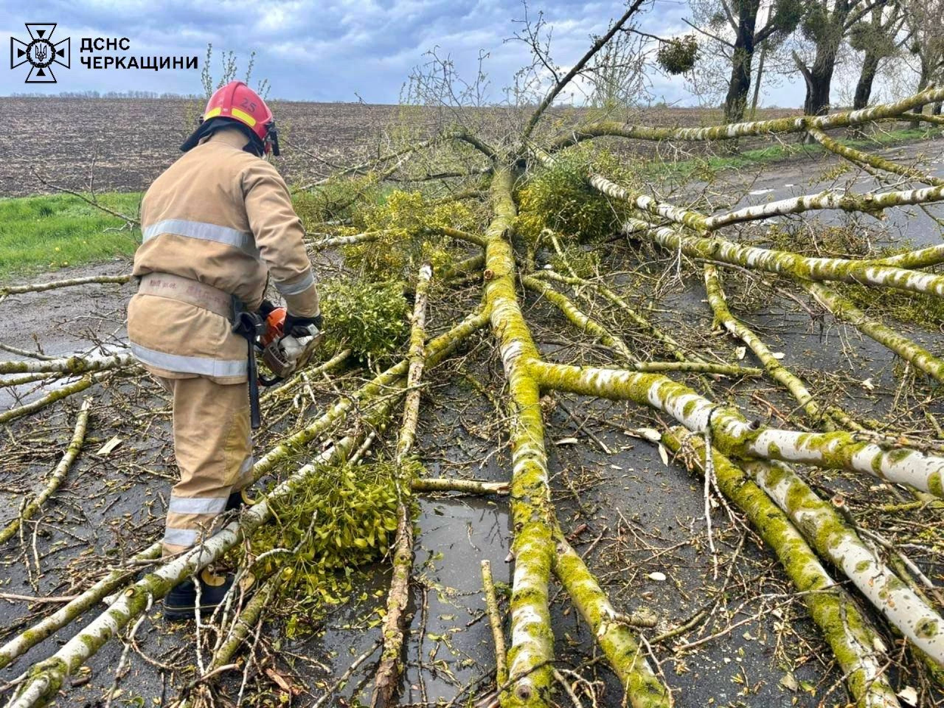 Штормовий вітер очікують на Черкащині у понеділок