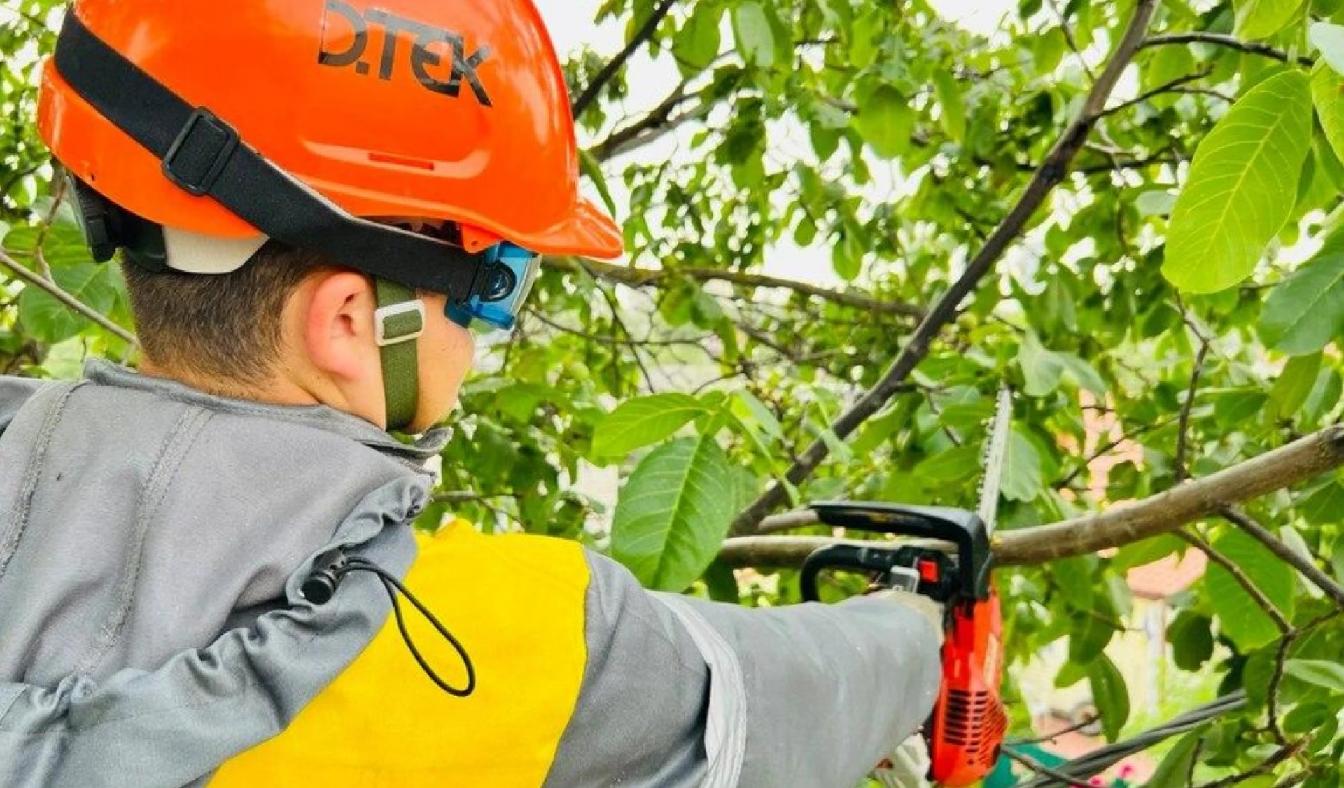 На Київщині розчистили майже 1,5 тис. км електромереж