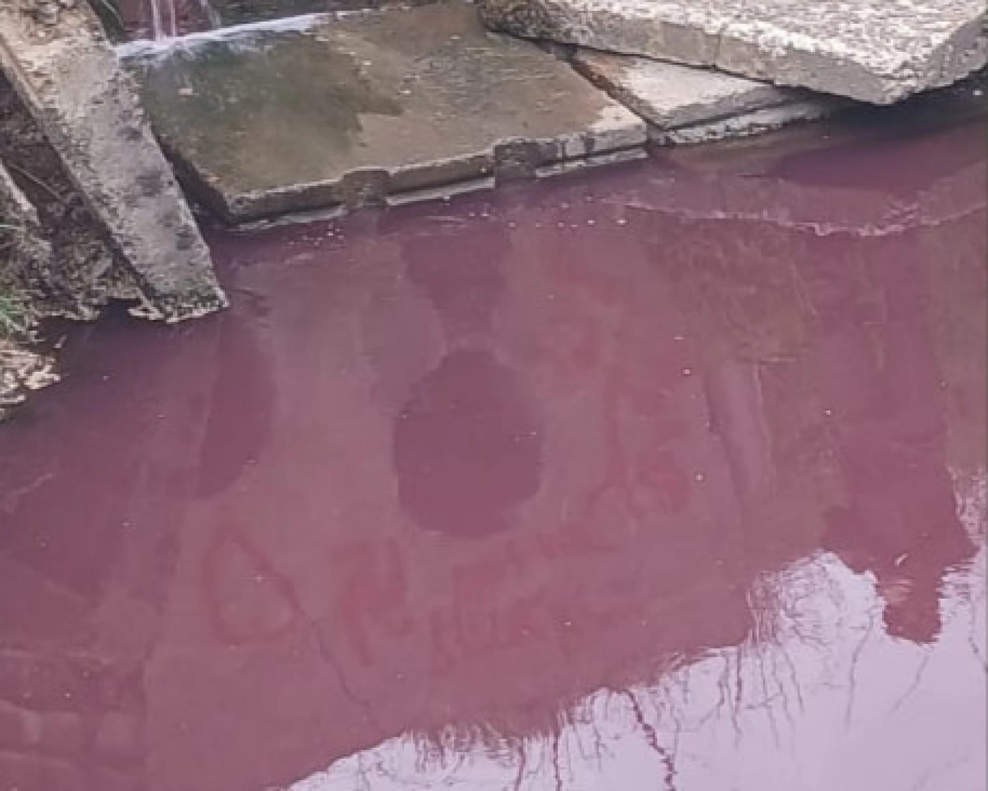 На Київщині виявили скид невідомої речовини у річку: зафіксовано значні перевищення норм
