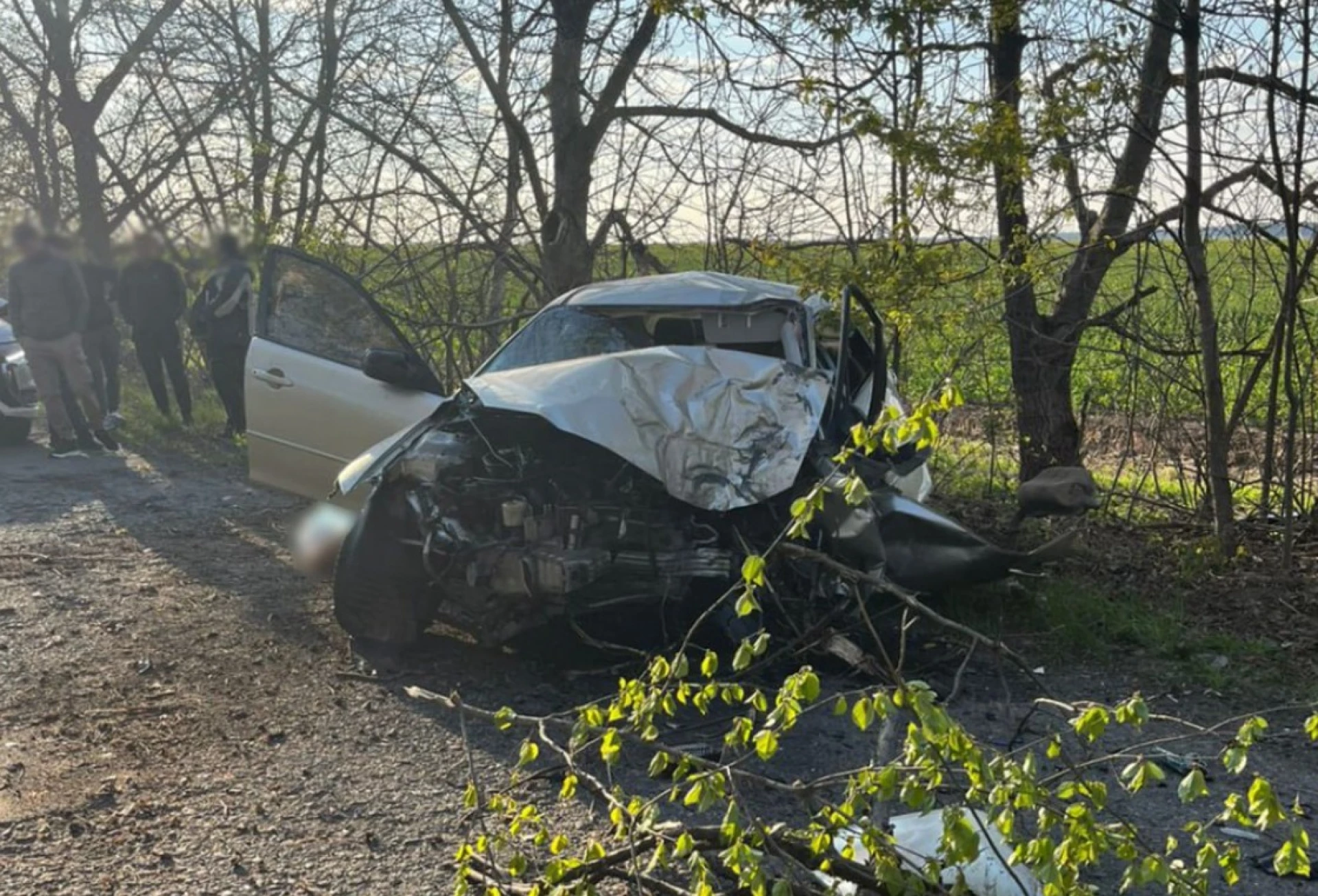 На Уманщині Mazda влетіла в дерево, загнув водій